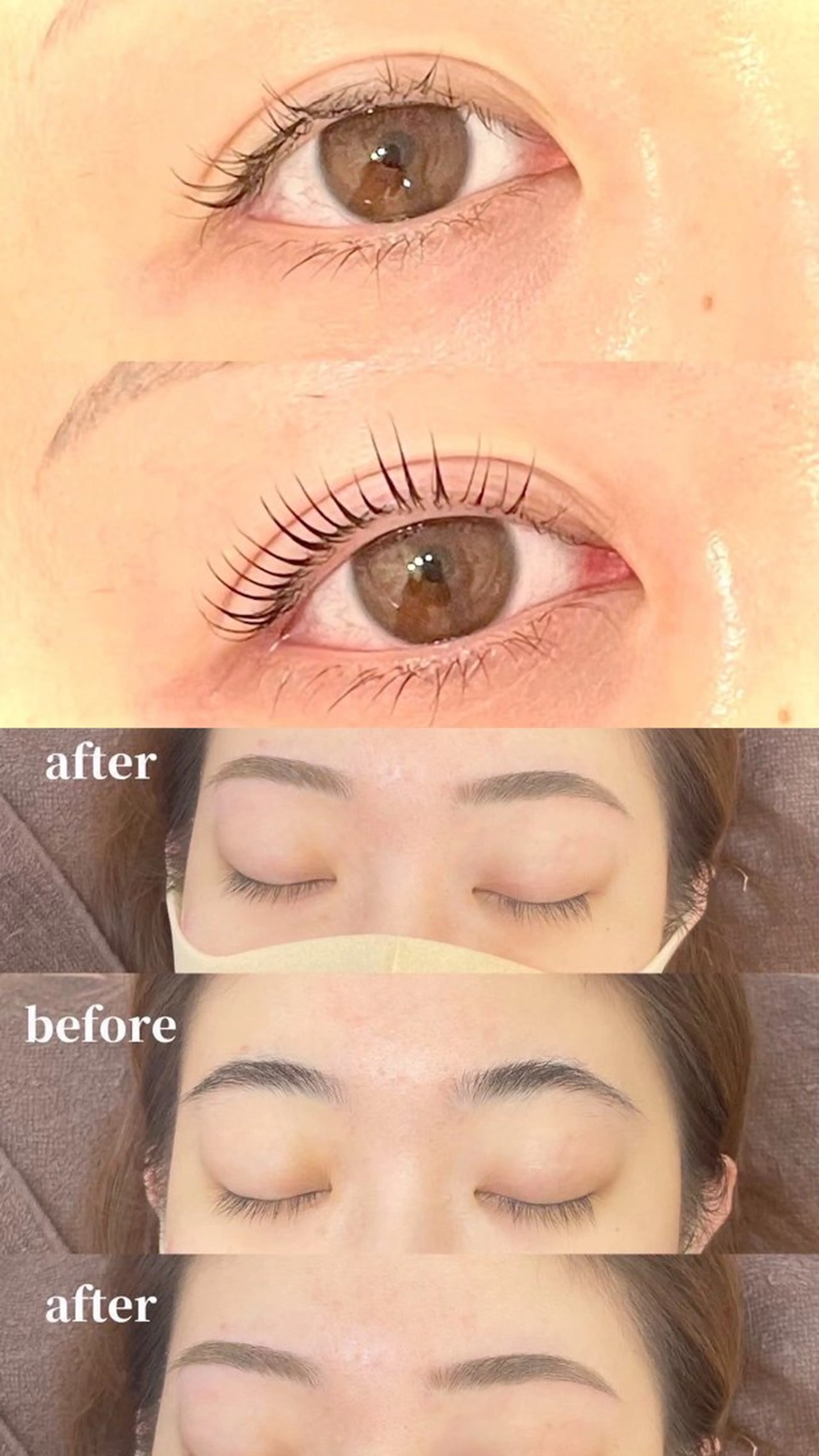 限定ｾｯﾄﾒﾆｭｰ✨【眉毛wax +マツパ】1月20日（火）16:00​〜​の写真