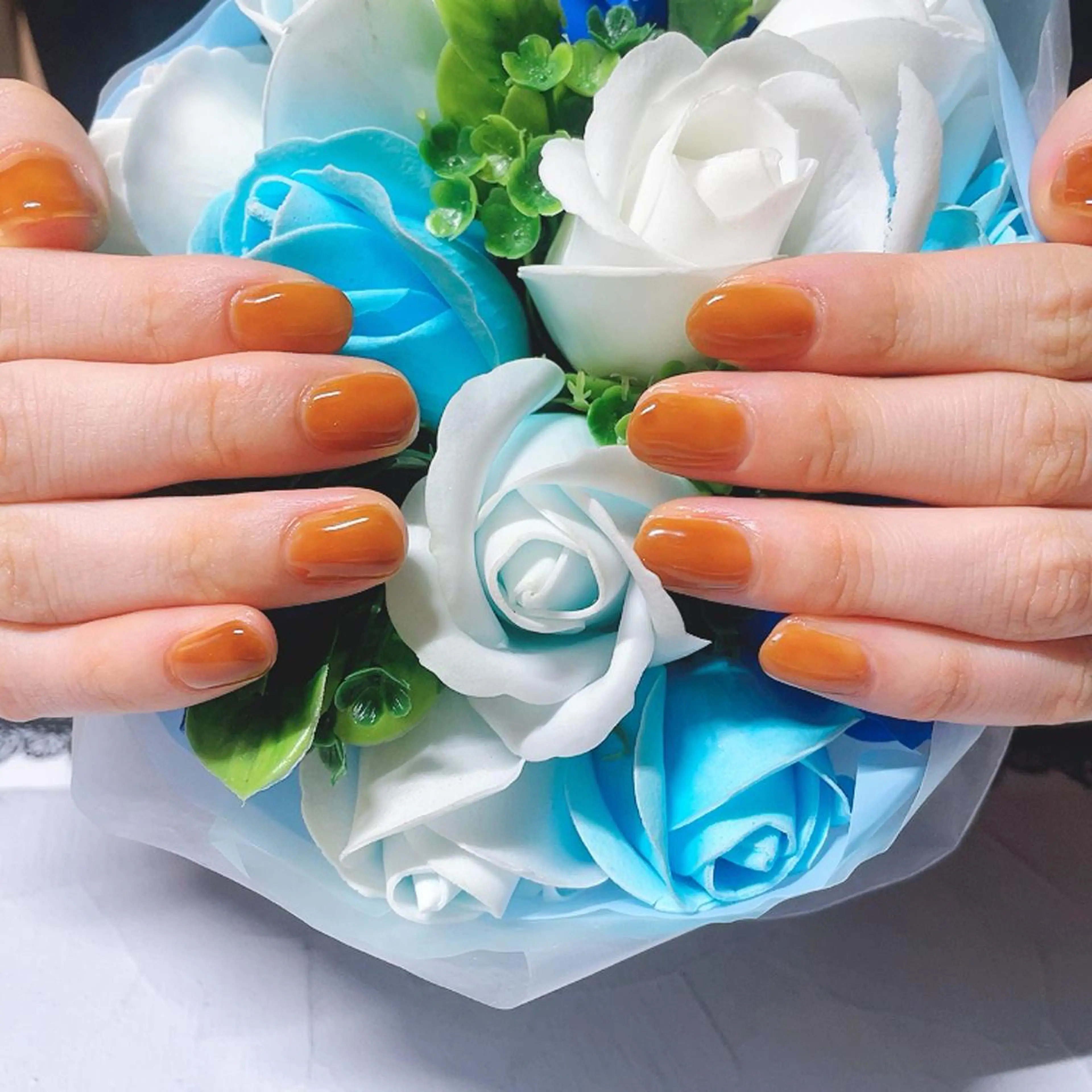 ネイル ワンカラーネイル 奥園 良恵のネイルデザイン