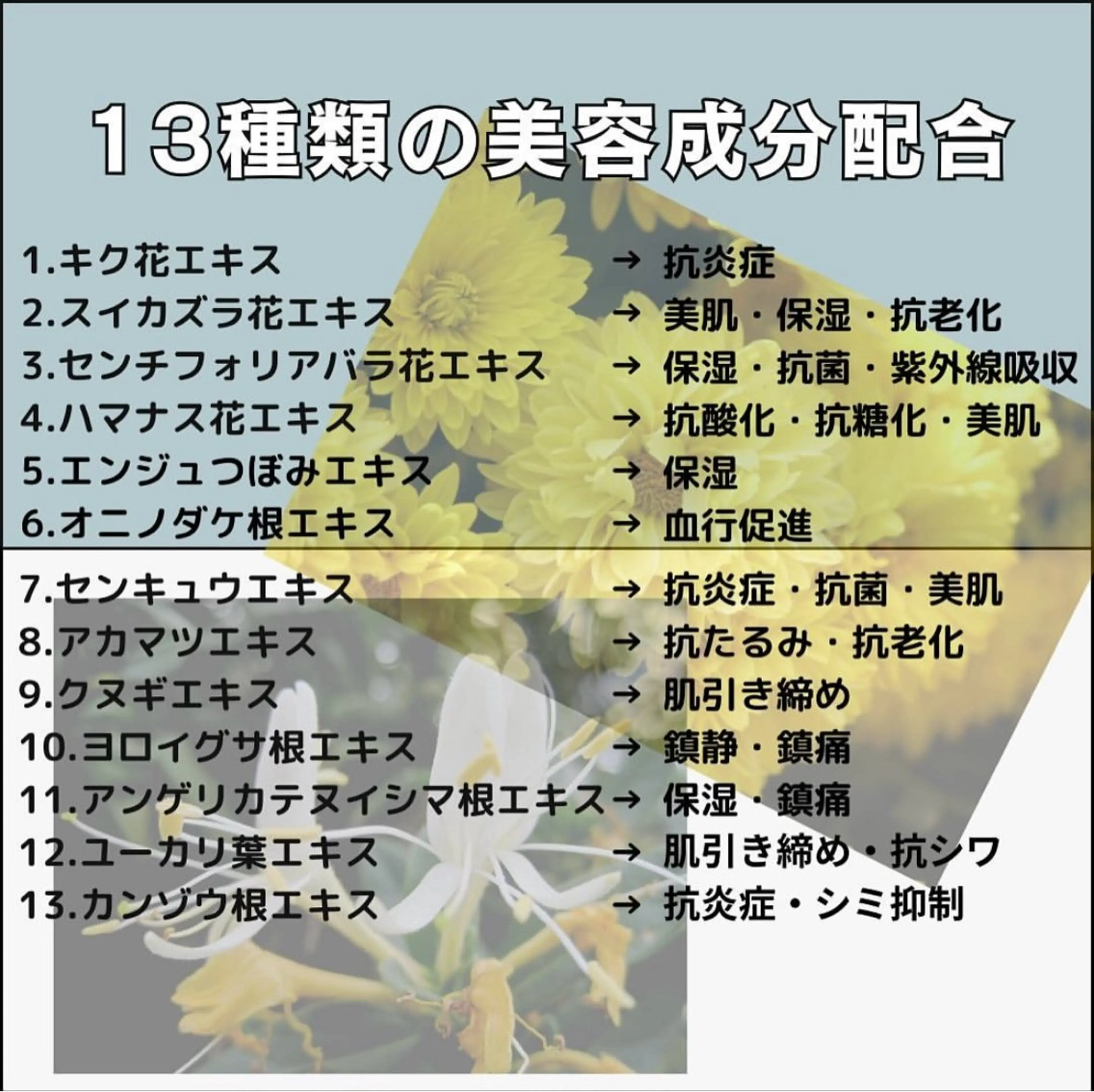 Lily luce 美骨小顔矯正のその他イメージ