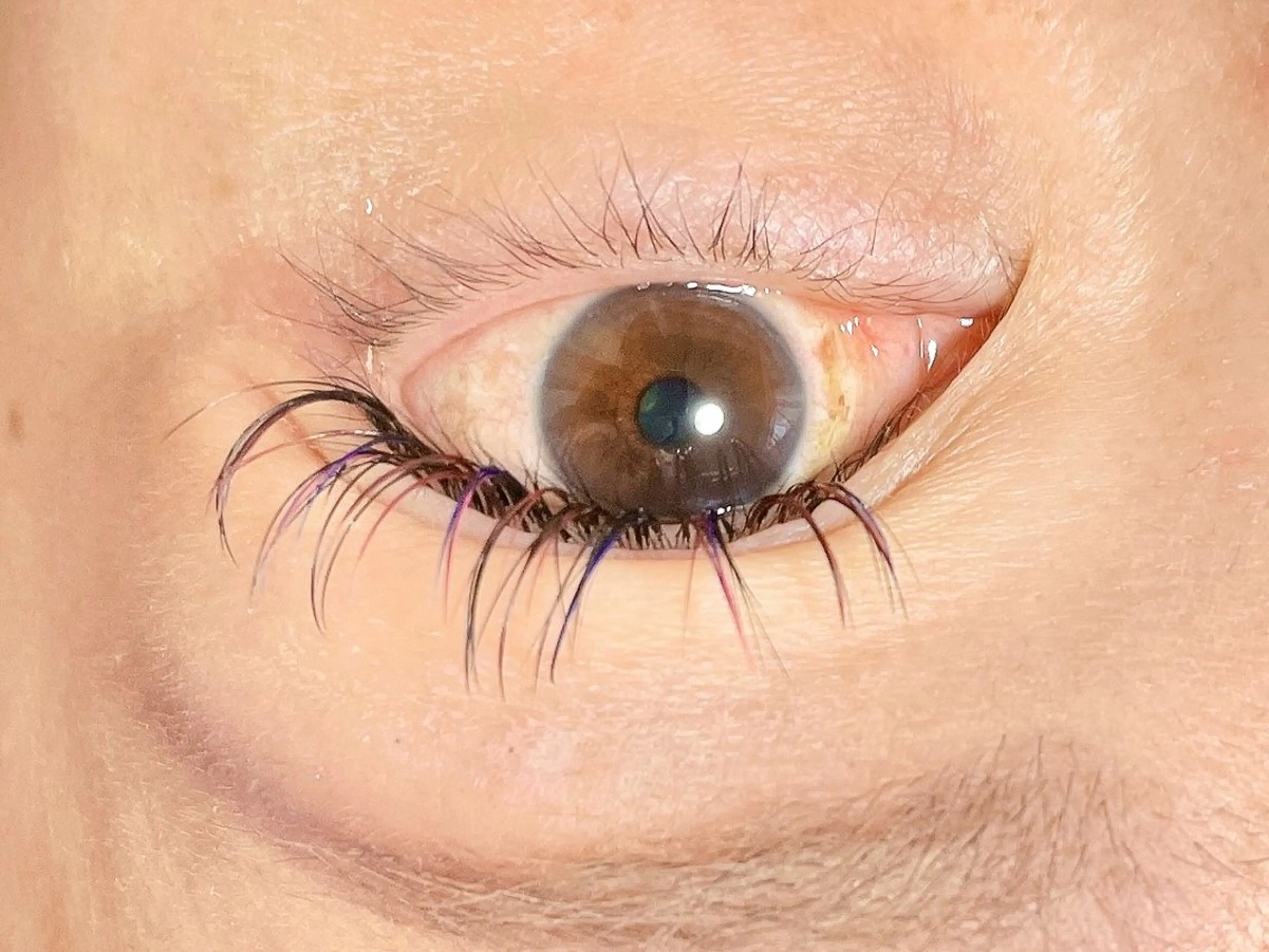 マツエク・マツパ DRESS (ドレス)のマツエク・マツパデザイン