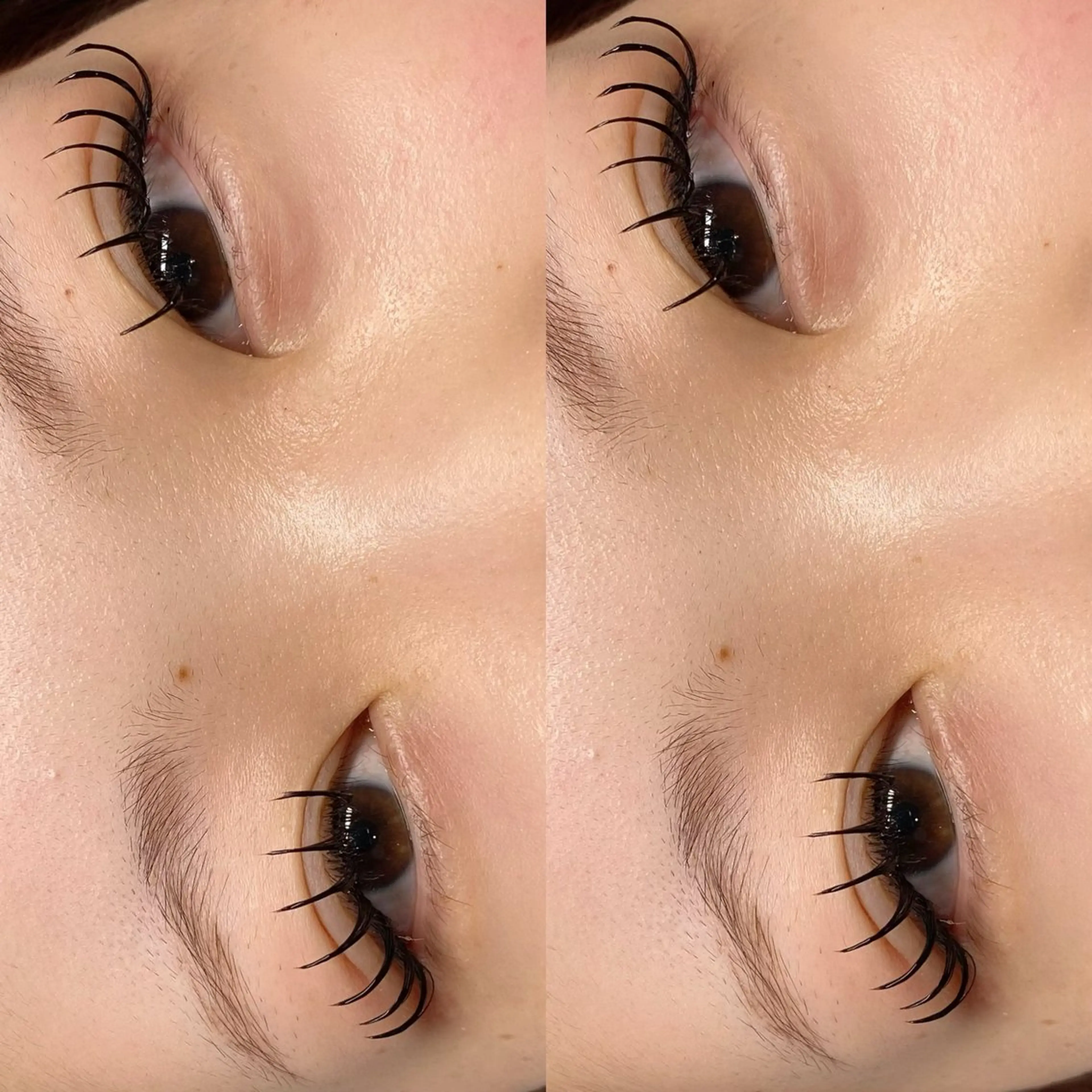 マツエク・マツパ ボリュームラッシュ マツエク MAKOTO🌹 Amaranth金山のマツエク・マツパデザイン