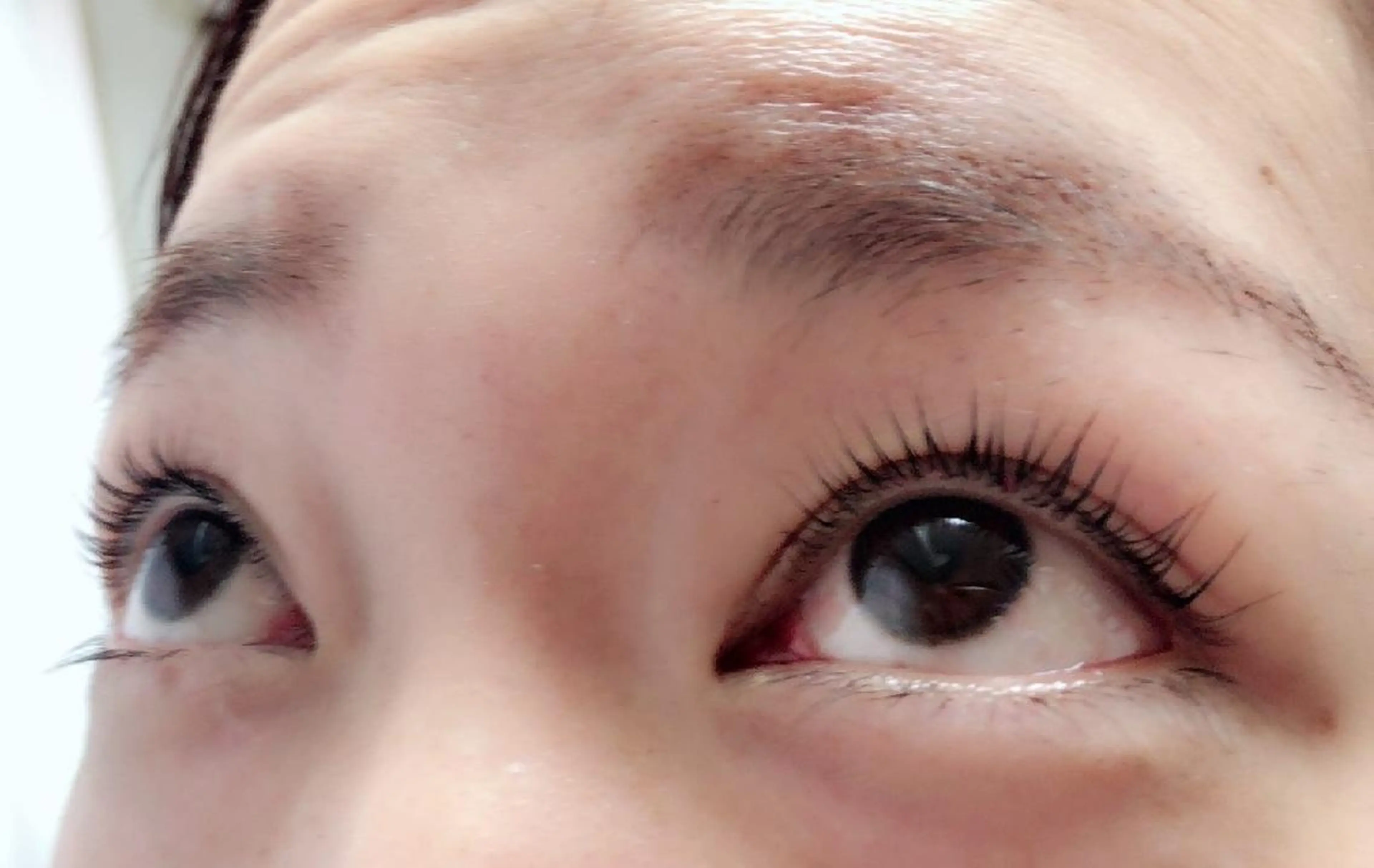 マツエク・マツパ 付け放題 フラットラッシュ 下まつげエクステ 一重×まつ毛パーマ ボリュームラッシュ 吉岡 ゆうなのマツエク・マツパデザイン