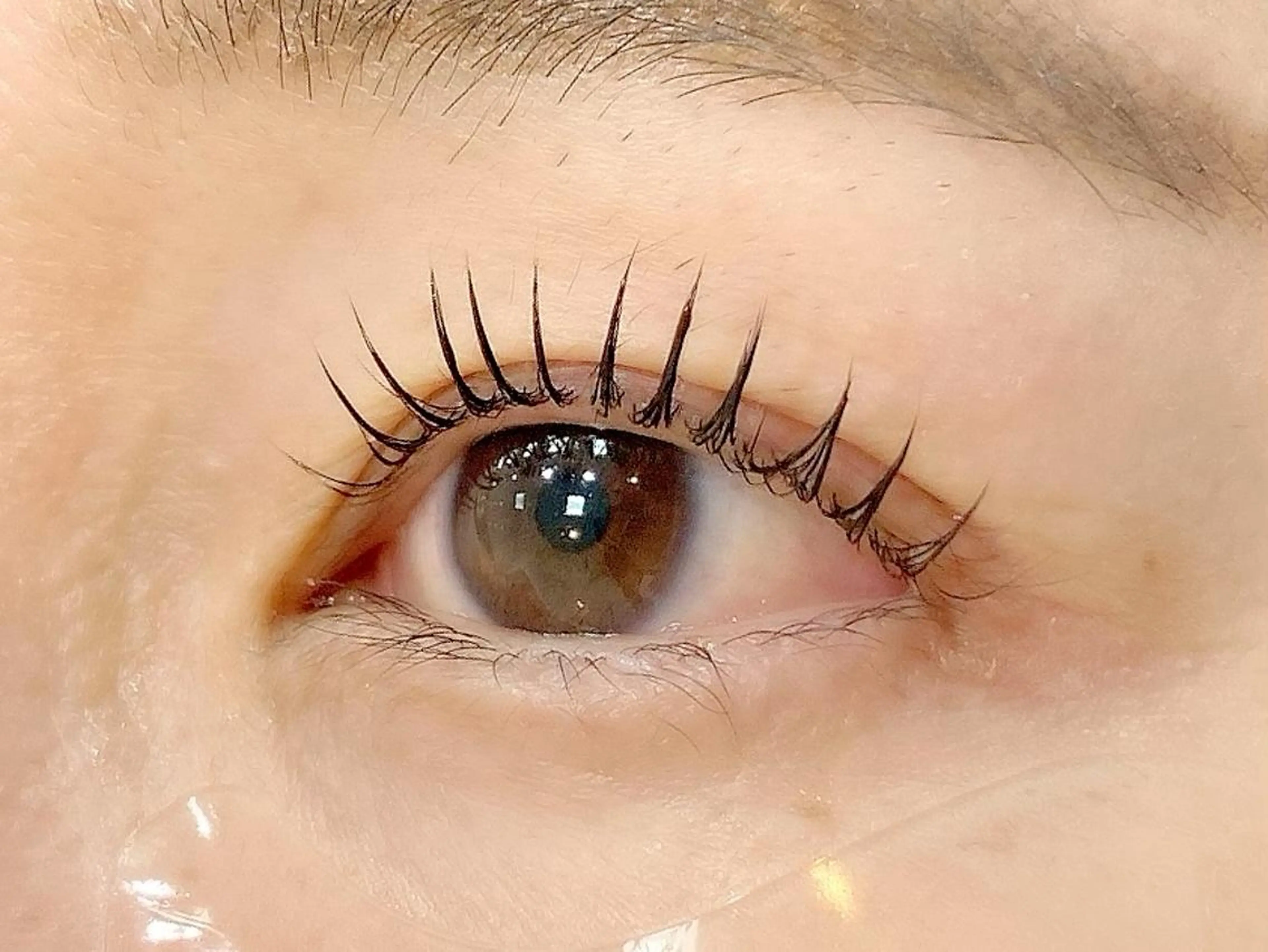 【オフ込み】パリジェンヌラッシュリフト🌷の写真