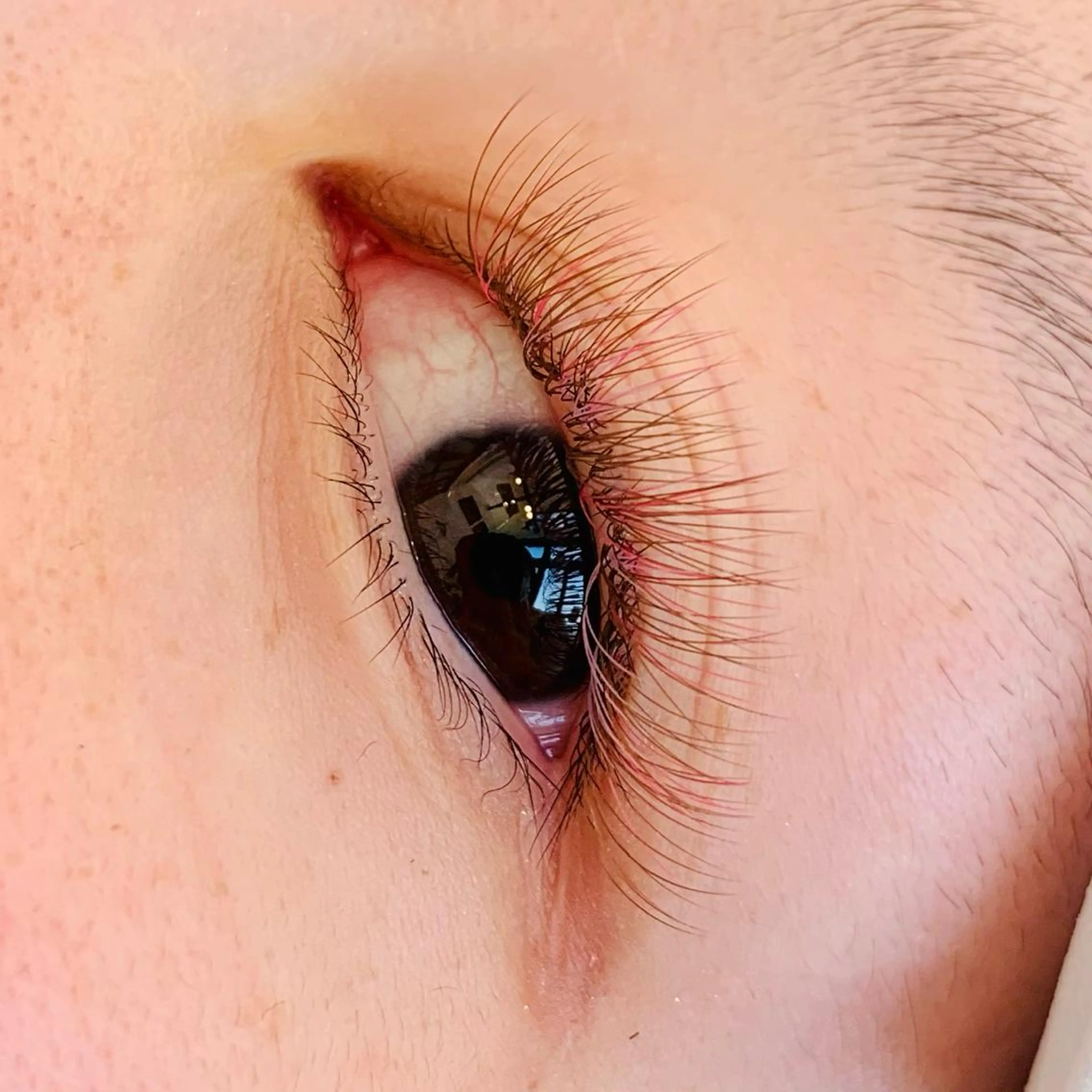 マツエク・マツパ EYELA小針店 さかいのマツエク・マツパデザイン