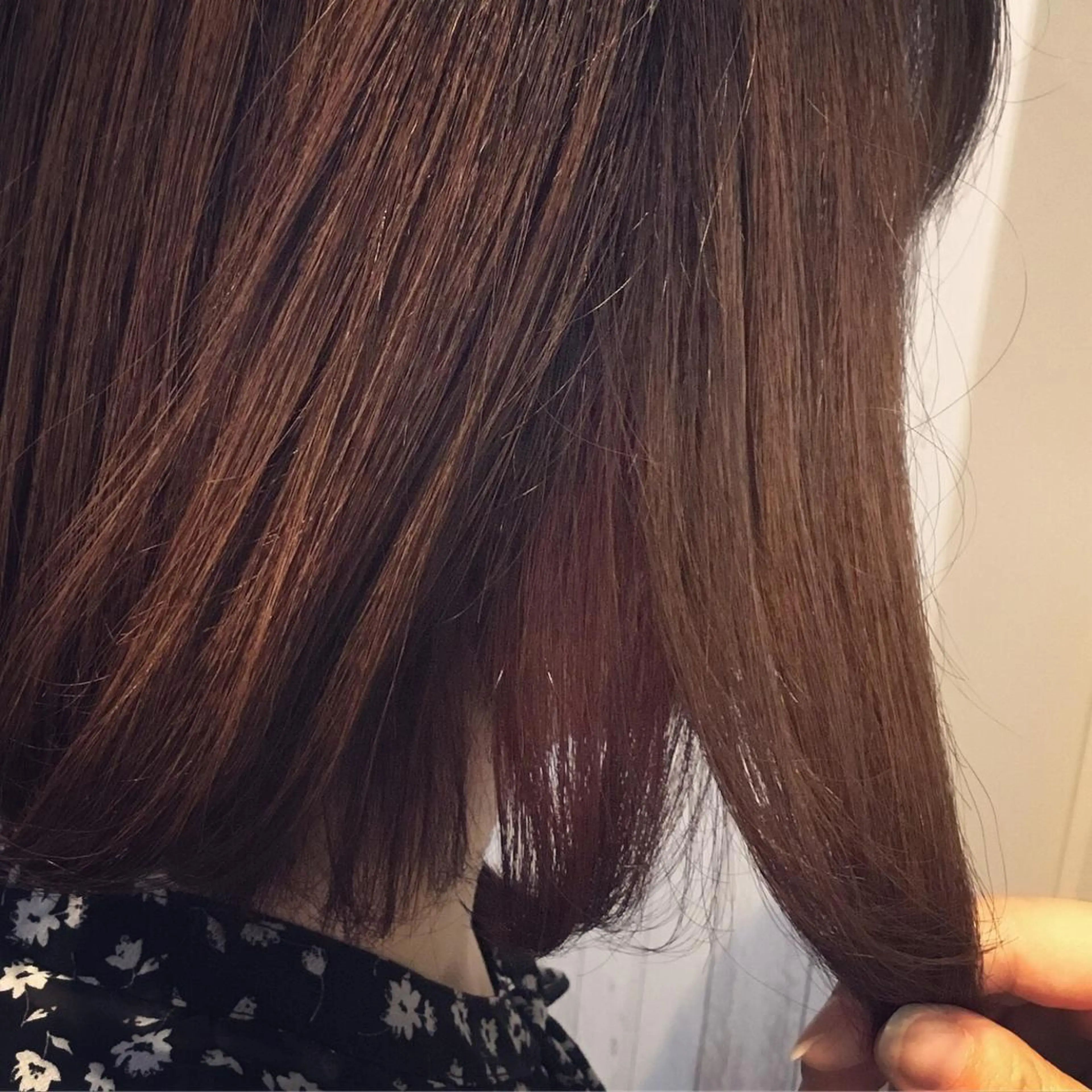 ミディアム カラー 金崎 新吾のヘアスタイル