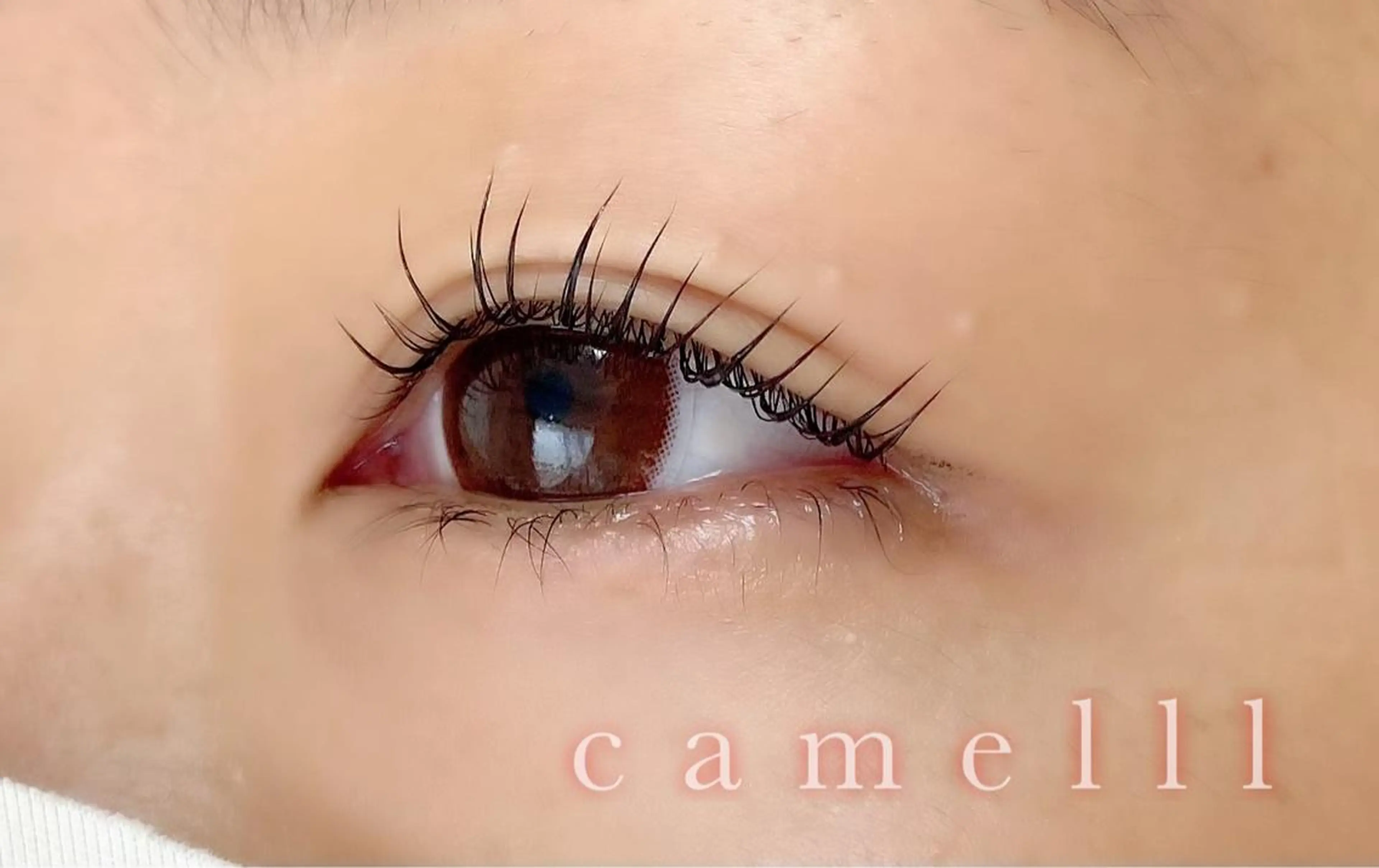 マツエク・マツパ 【那覇/束感まつ毛】 ｷｬﾒﾙのマツエク・マツパデザイン