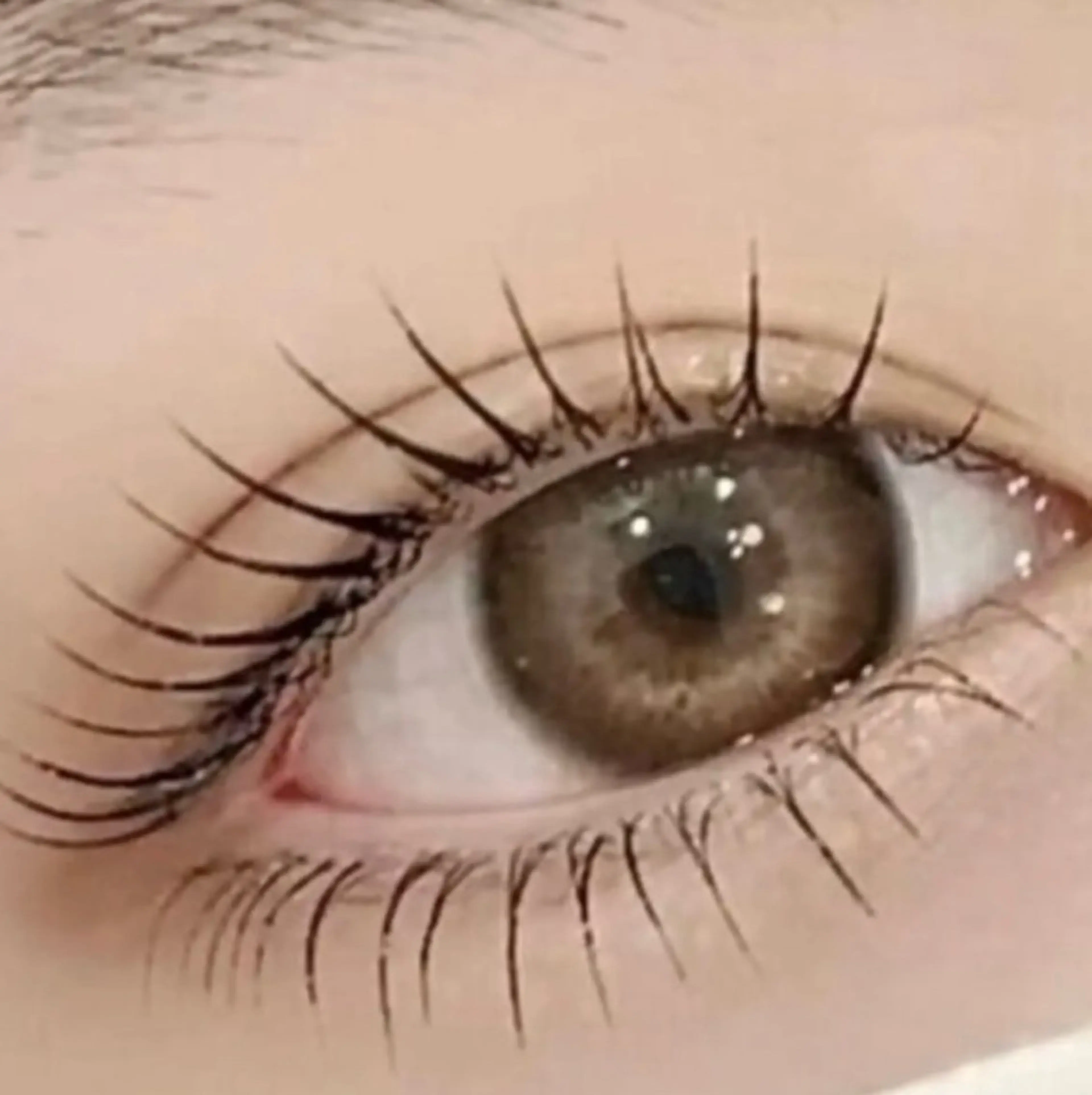 マツエク・マツパ マツパ PEEKABOO EYE京橋のマツエク・マツパデザイン