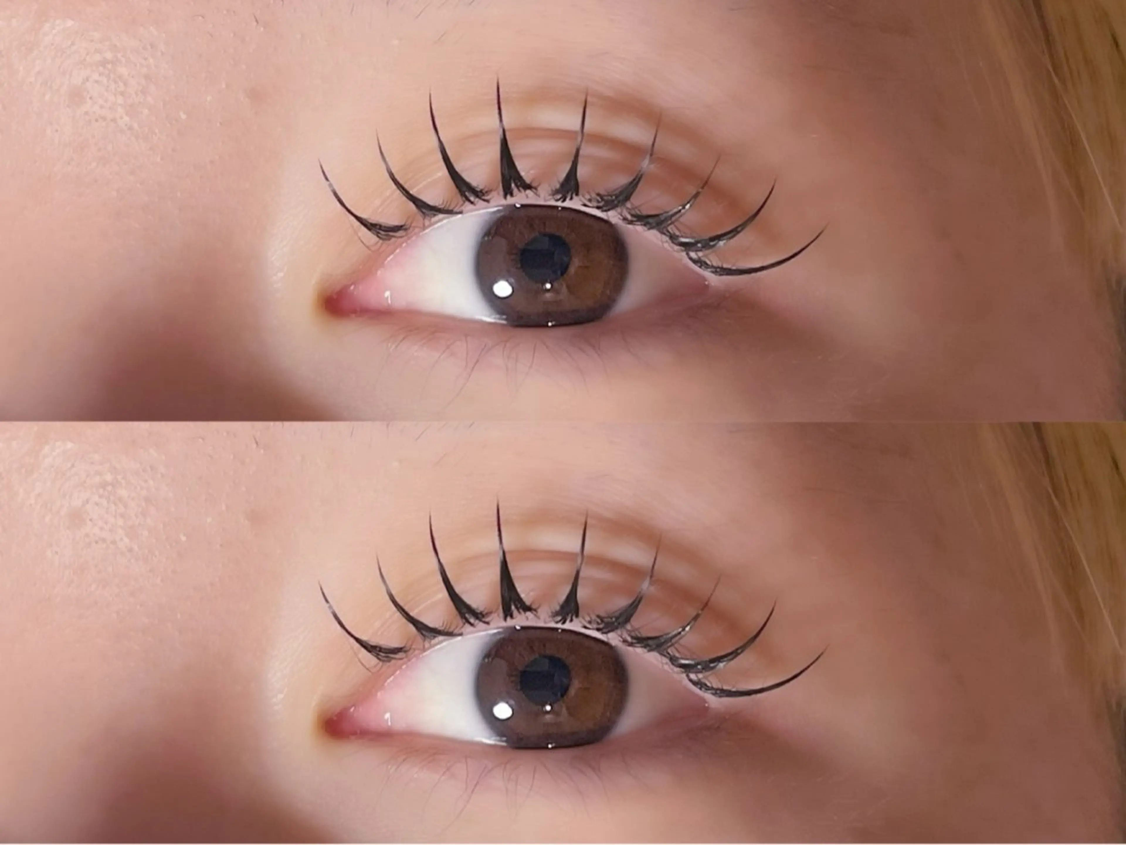 マツエク・マツパ Maazlash 5🐿️のマツエク・マツパデザイン