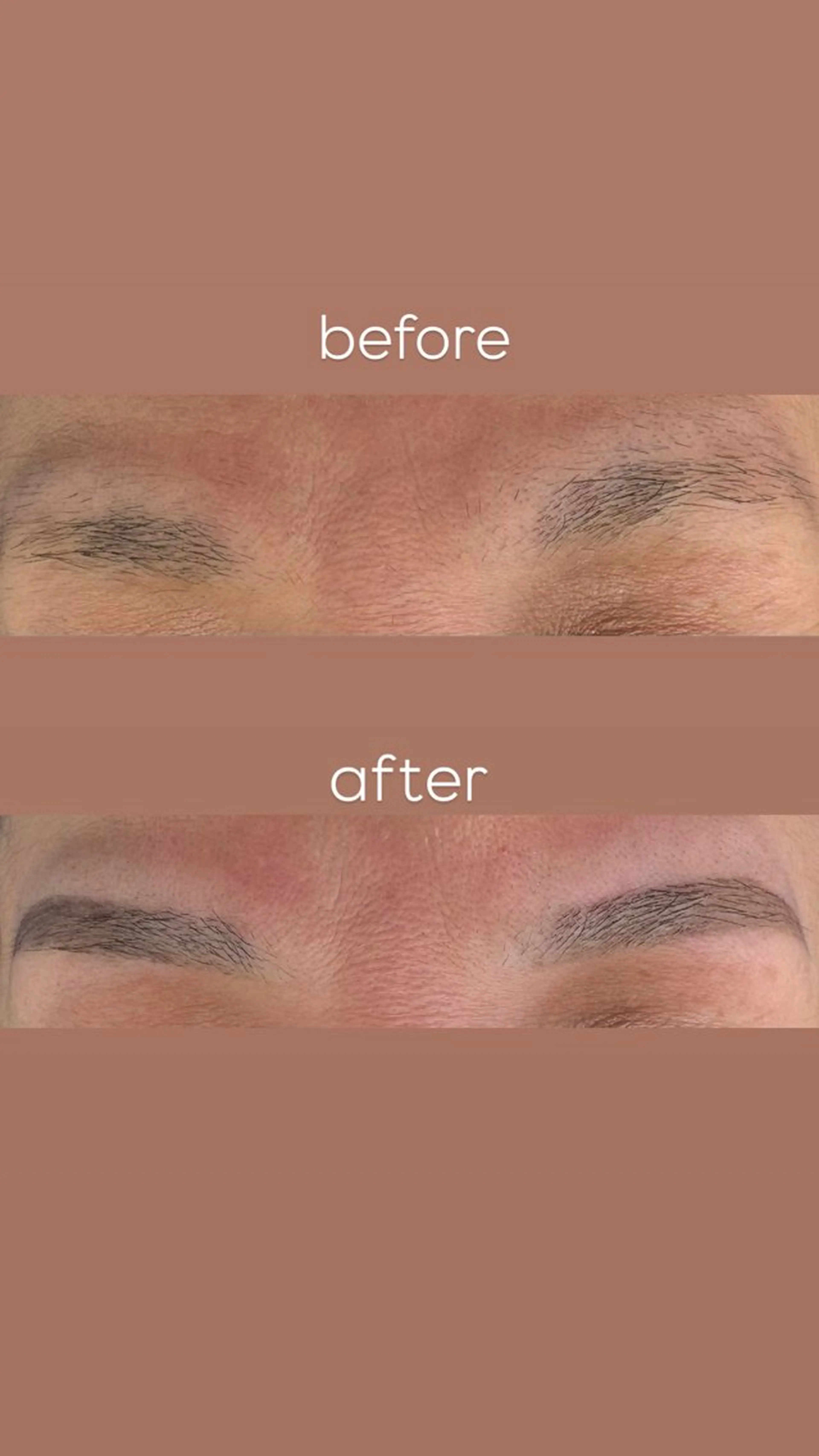 アイブロウ ハリウッドブロウリフト その他(アイブロウ) LOARY りせの眉毛・アイブロウイメージ