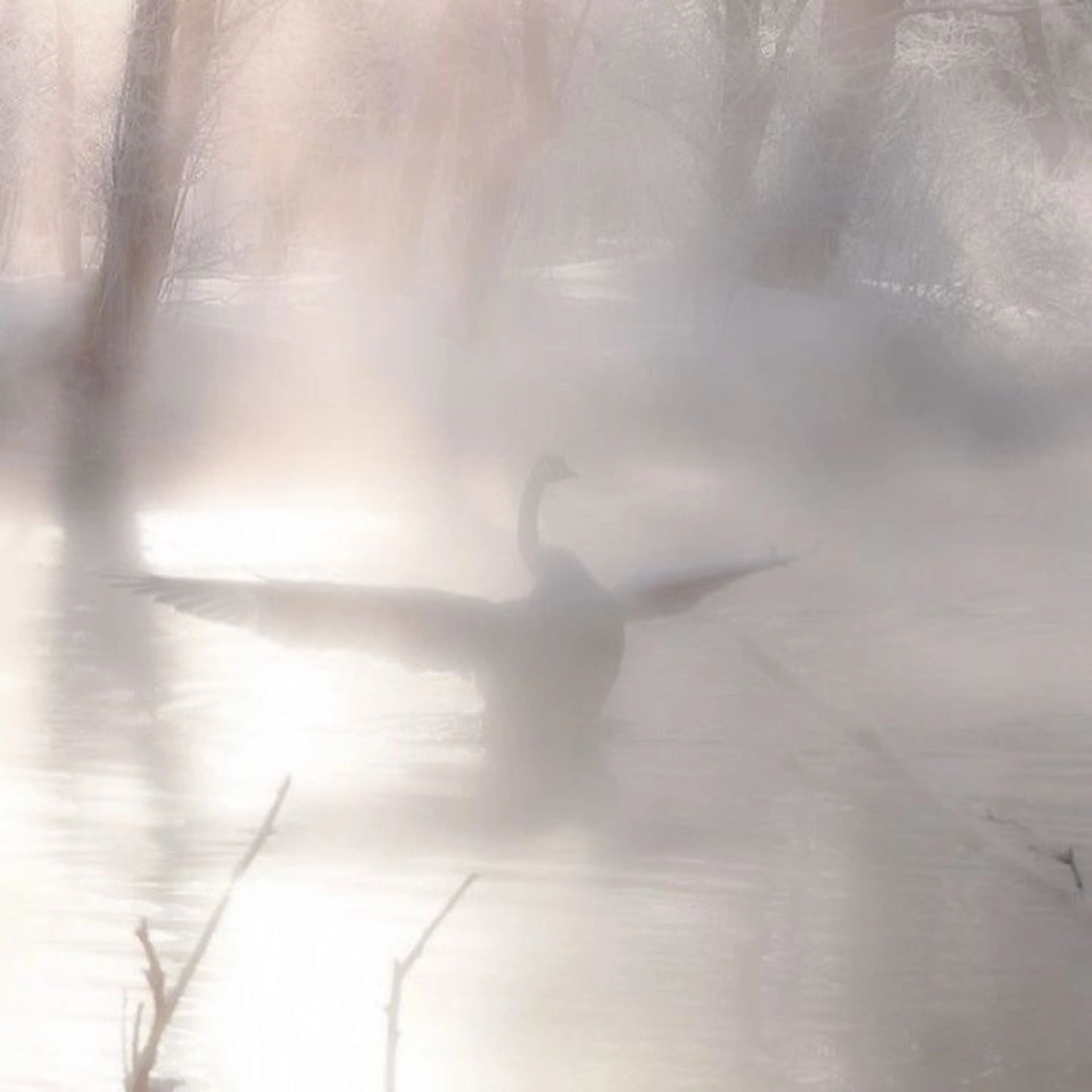ネイル Bianca♡ TAKANASHIのネイルデザイン