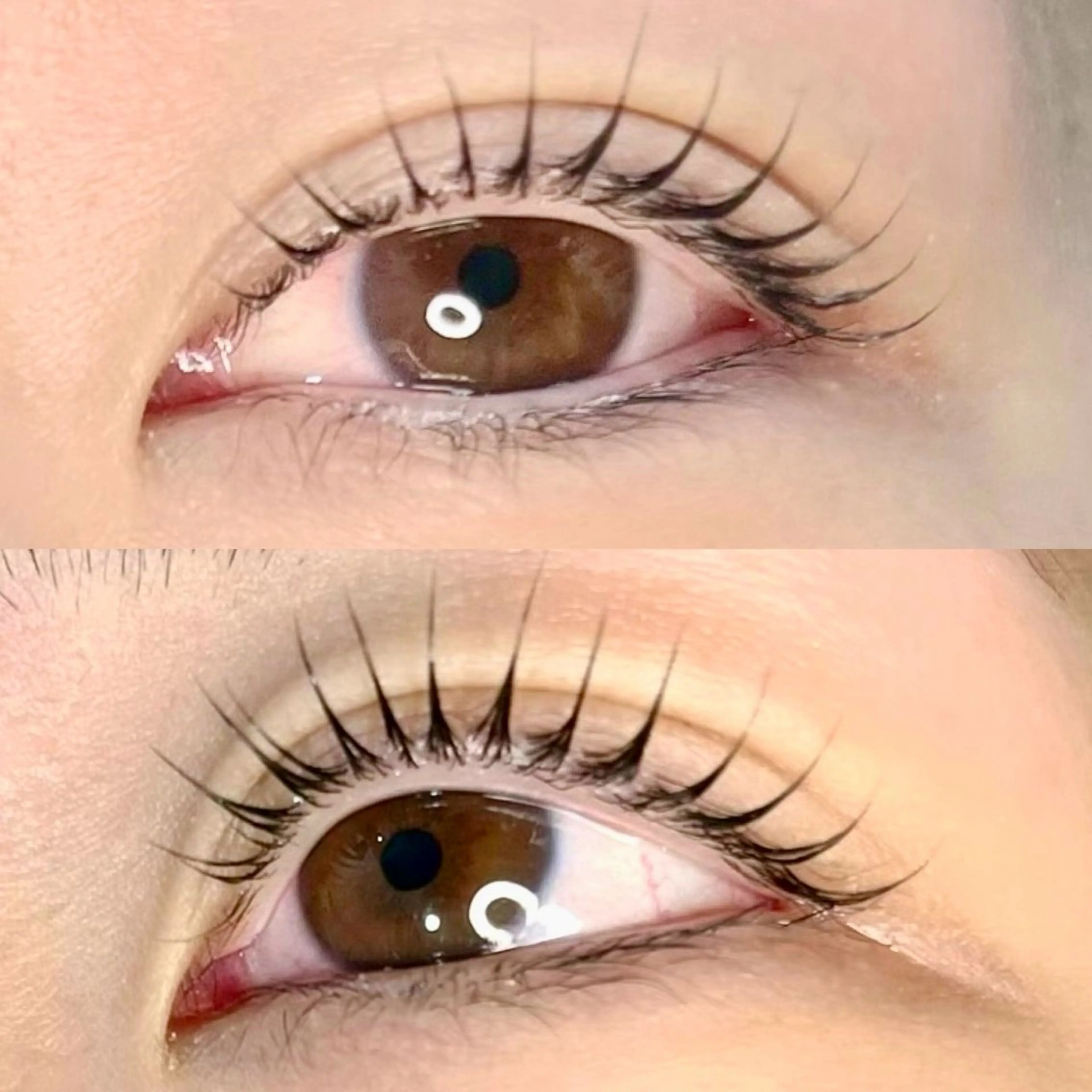 マツエク・マツパ Eyelash Salon Ao（アオ）所属・Ao tamai🌿のマツエク・マツパデザイン