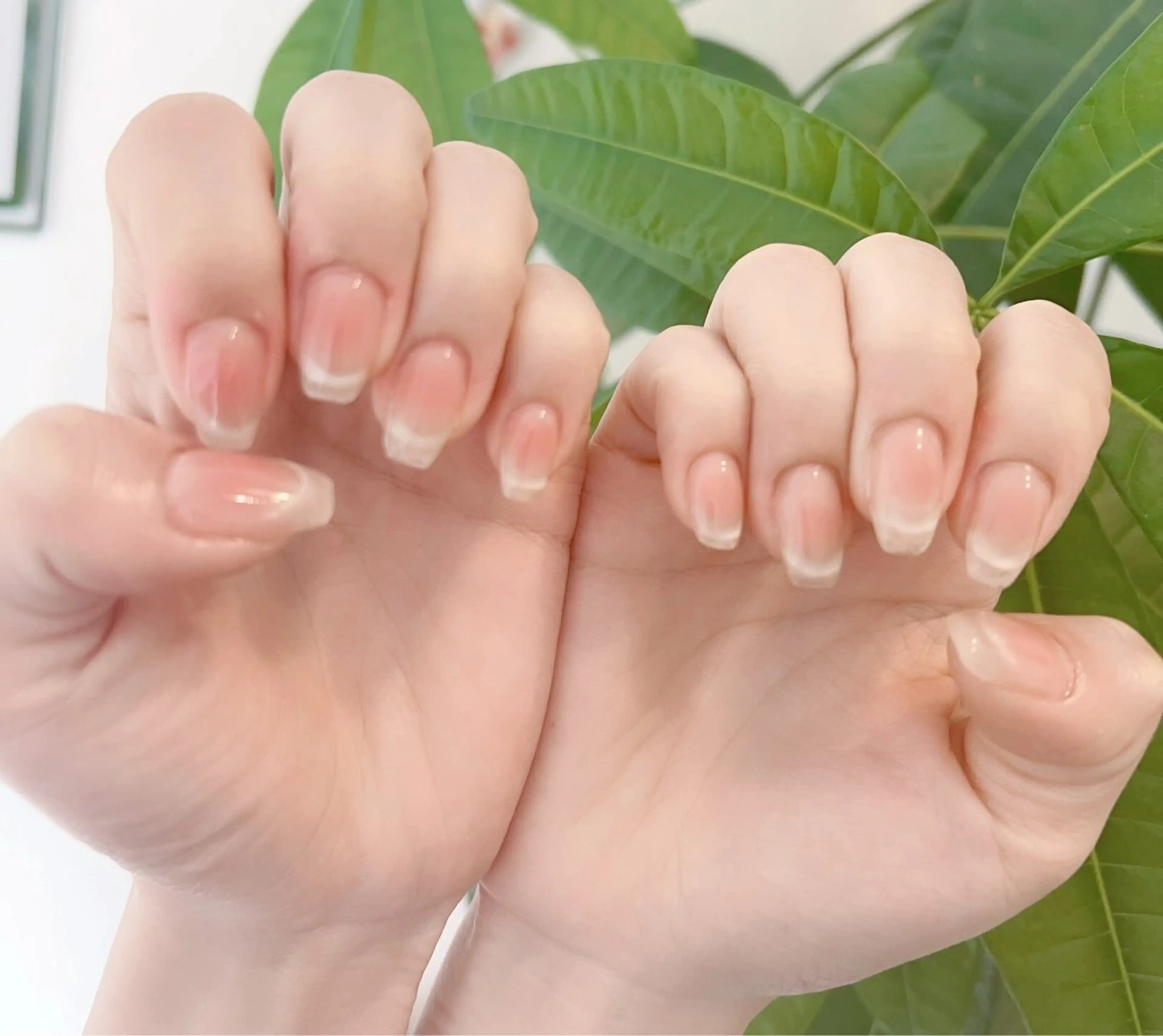 ネイル チークネイル フレンチネイル マグネットネイル マグネットフレンチ ワンホンネイル Floria KANAのネイルデザイン