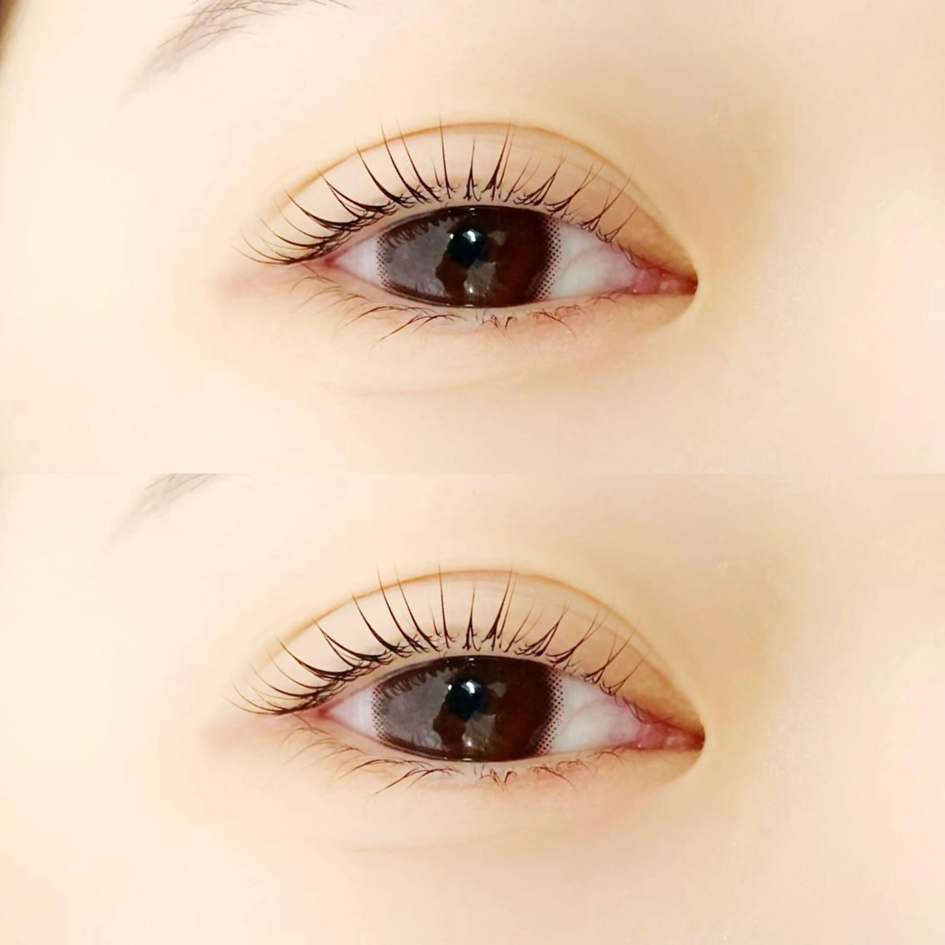 マツエク・マツパ マツパ muse所属・Suzu .muse 【葛城店】のマツエク・マツパデザイン