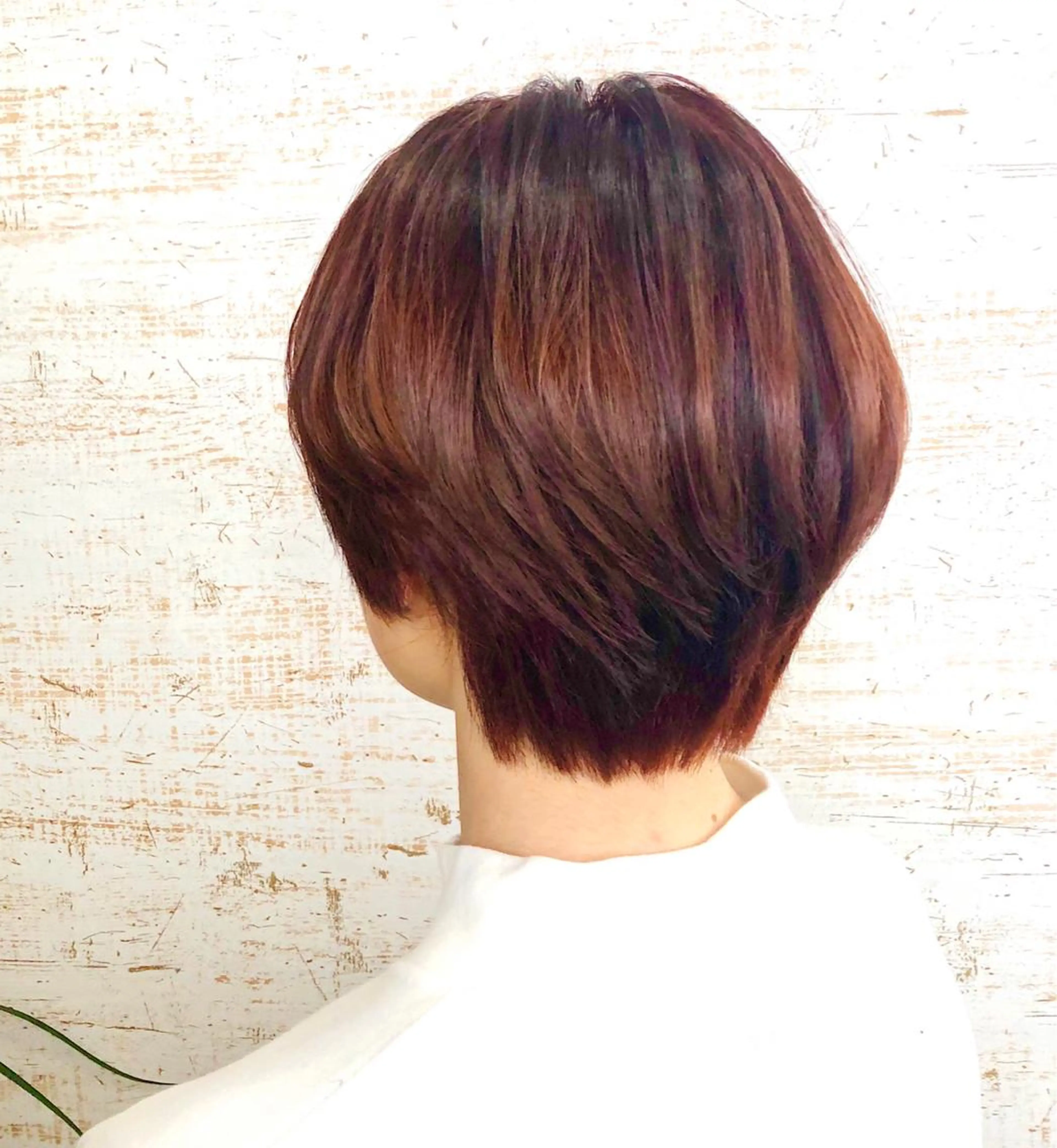 ショート カラー オレンジ ショートヘア ケアブリーチ /髪質 改善/古橋圭史郎のヘアスタイル