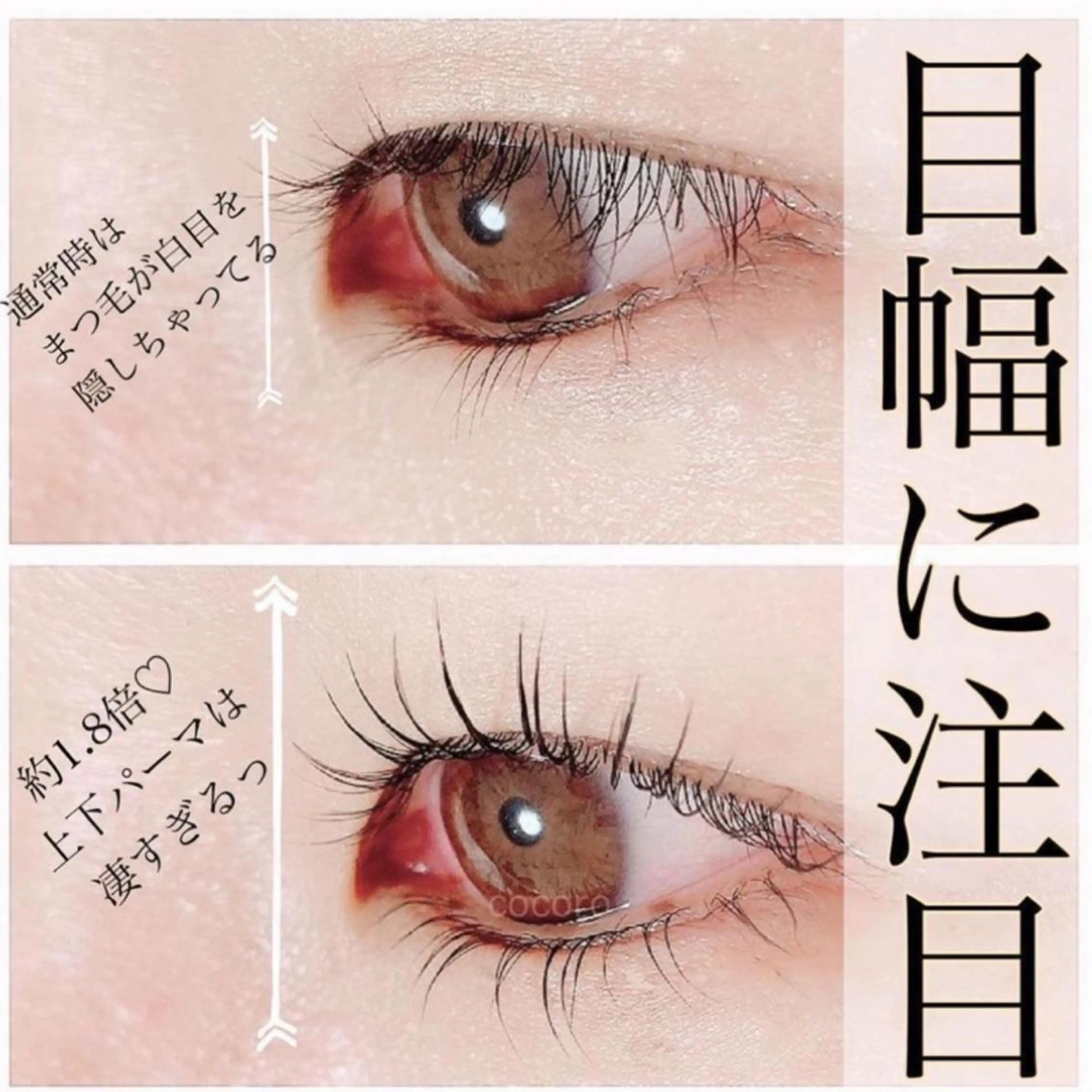 マツエク・マツパ まつ毛・眉/ 練習＆モニター専用のマツエク・マツパデザイン