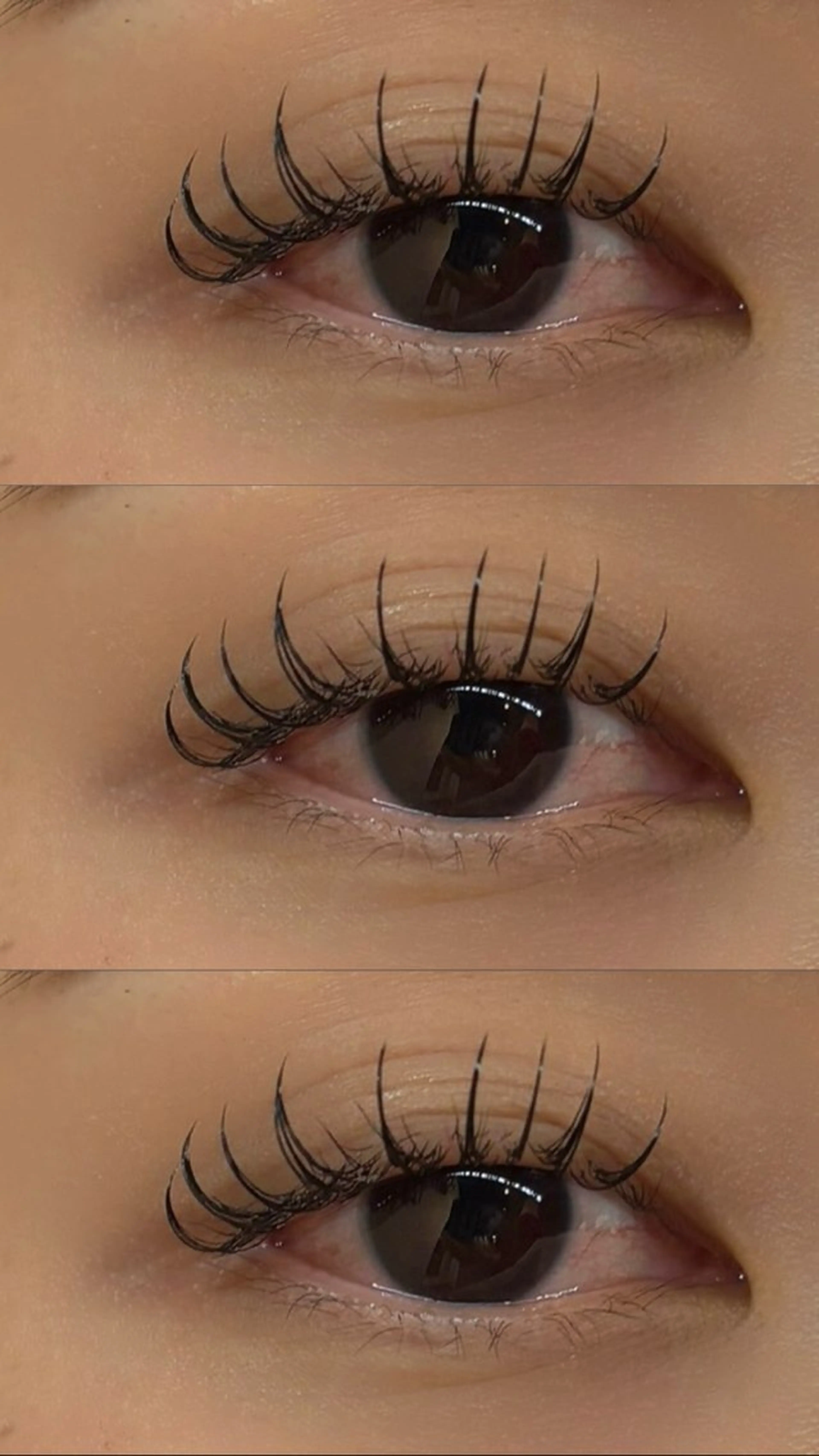 フラットラッシュ160本までの写真