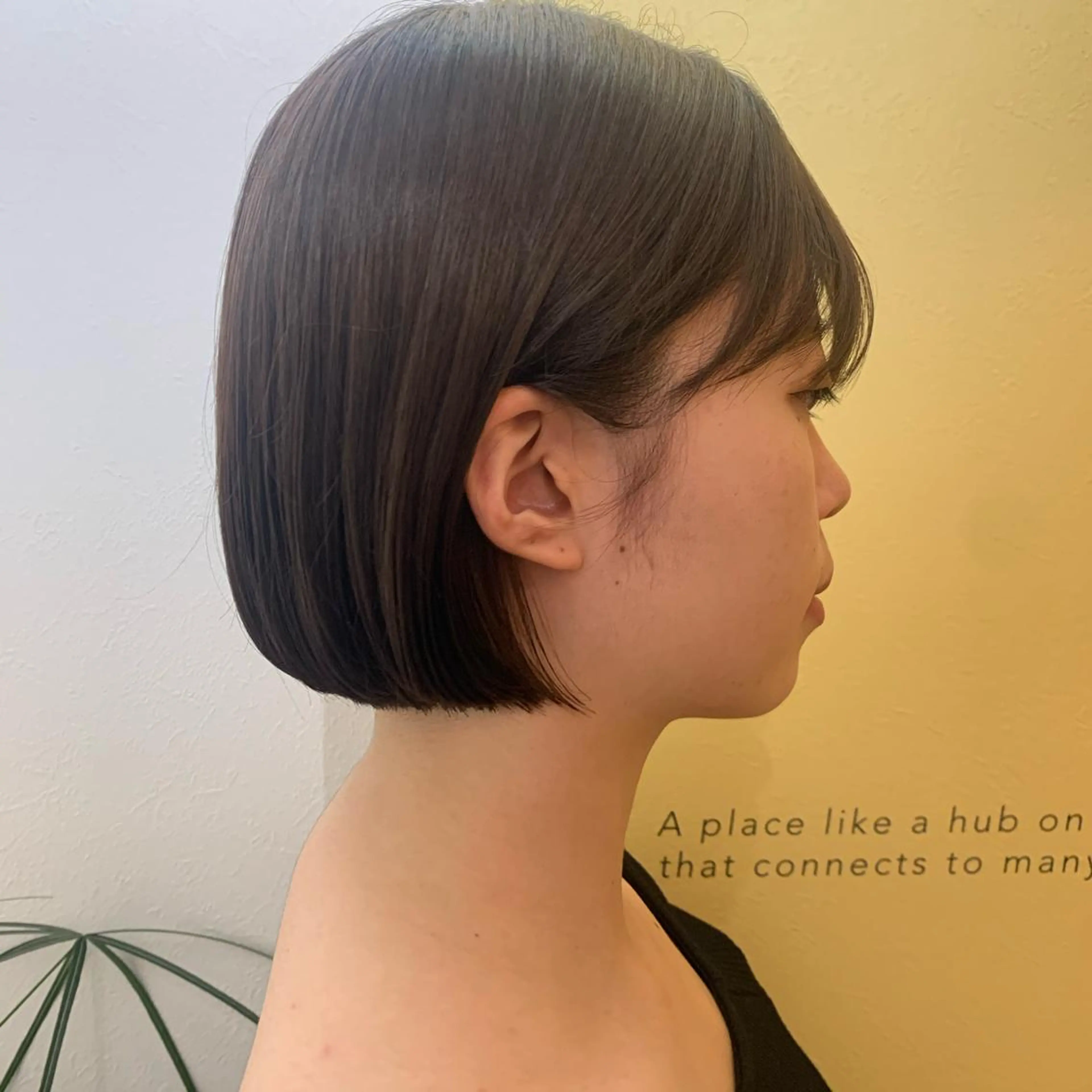 ショート カラー ボブ カット ヘアカラー トリートメント hub hair レイヤー/透明感のヘアスタイル