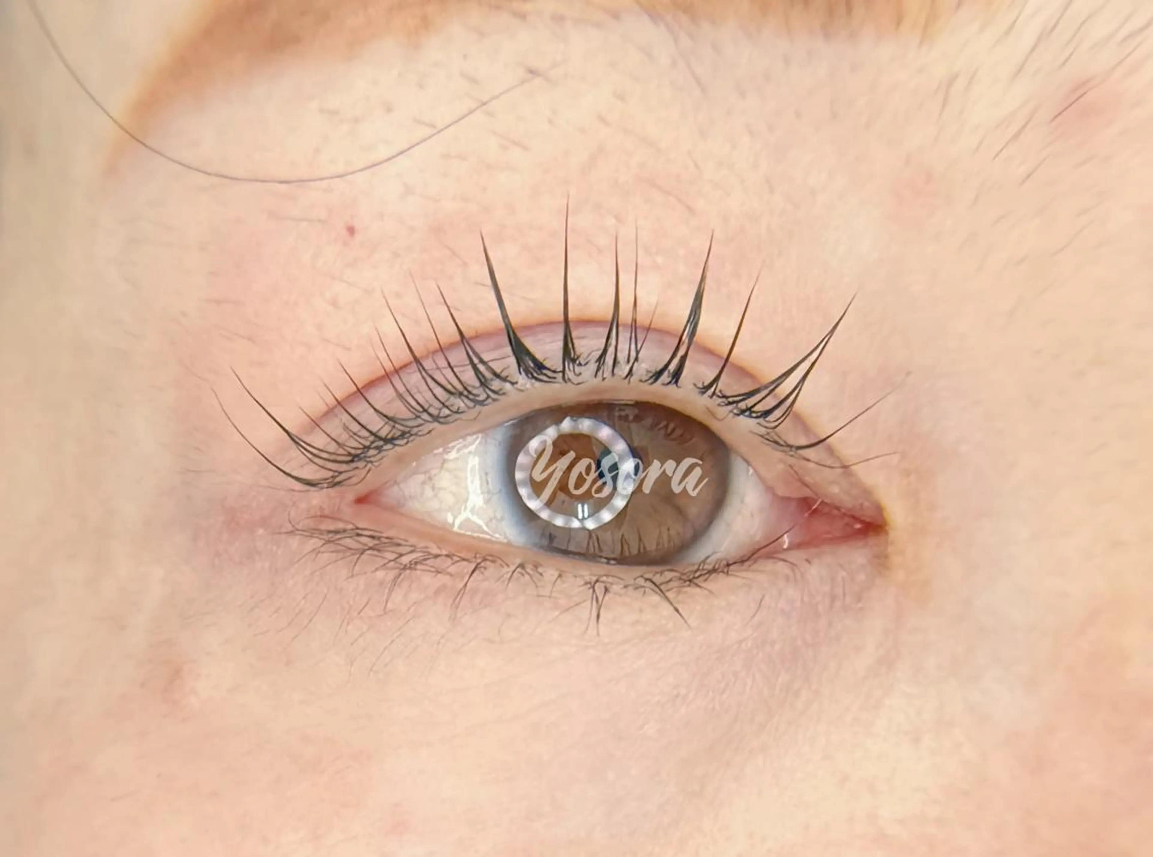 マツエク・マツパ パリジェンヌラッシュリフト マツパ 浅草橋 Yosoraのマツエク・マツパデザイン