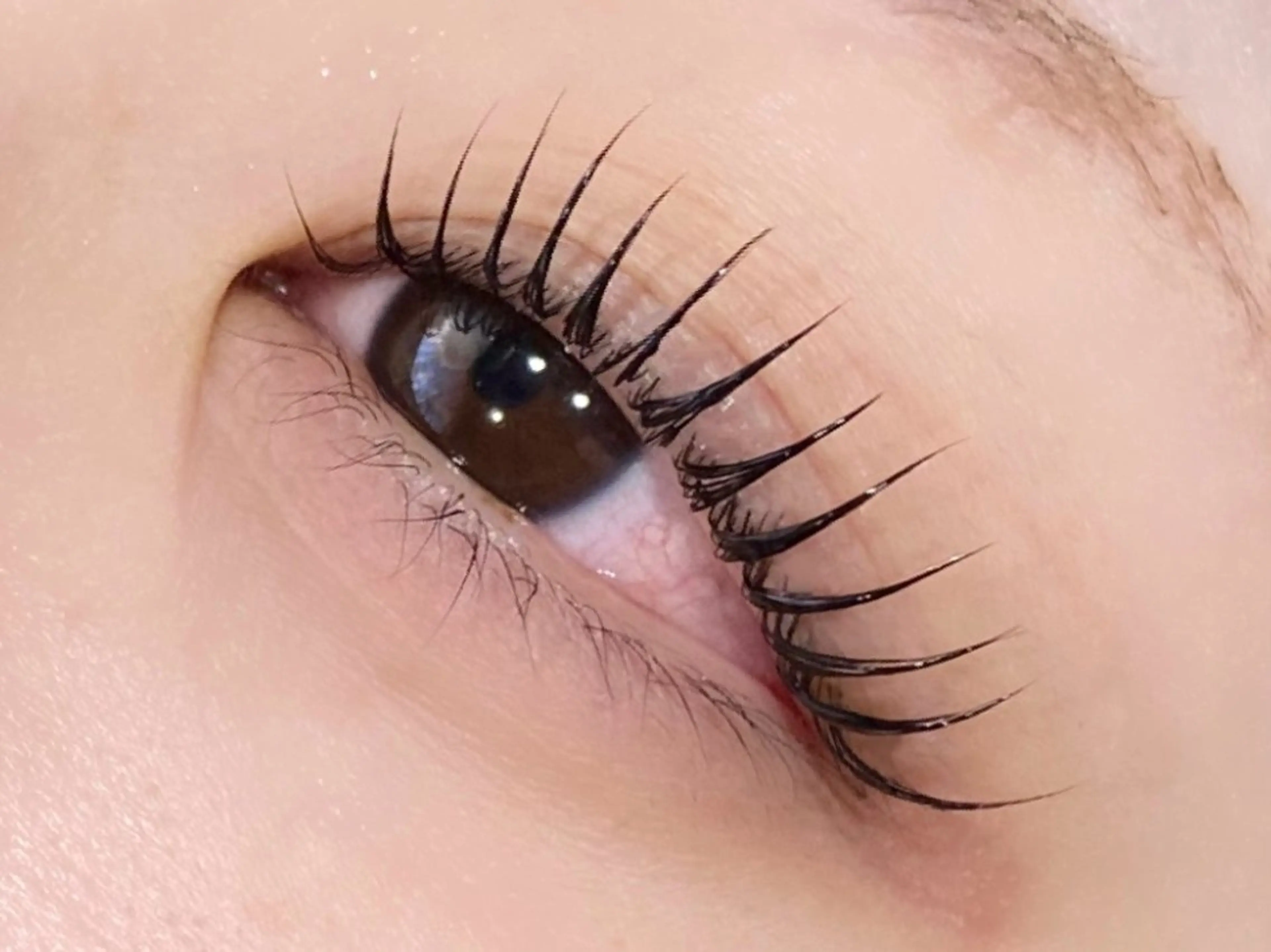 マツエク・マツパ マツパ ルクール 川崎店のマツエク・マツパデザイン