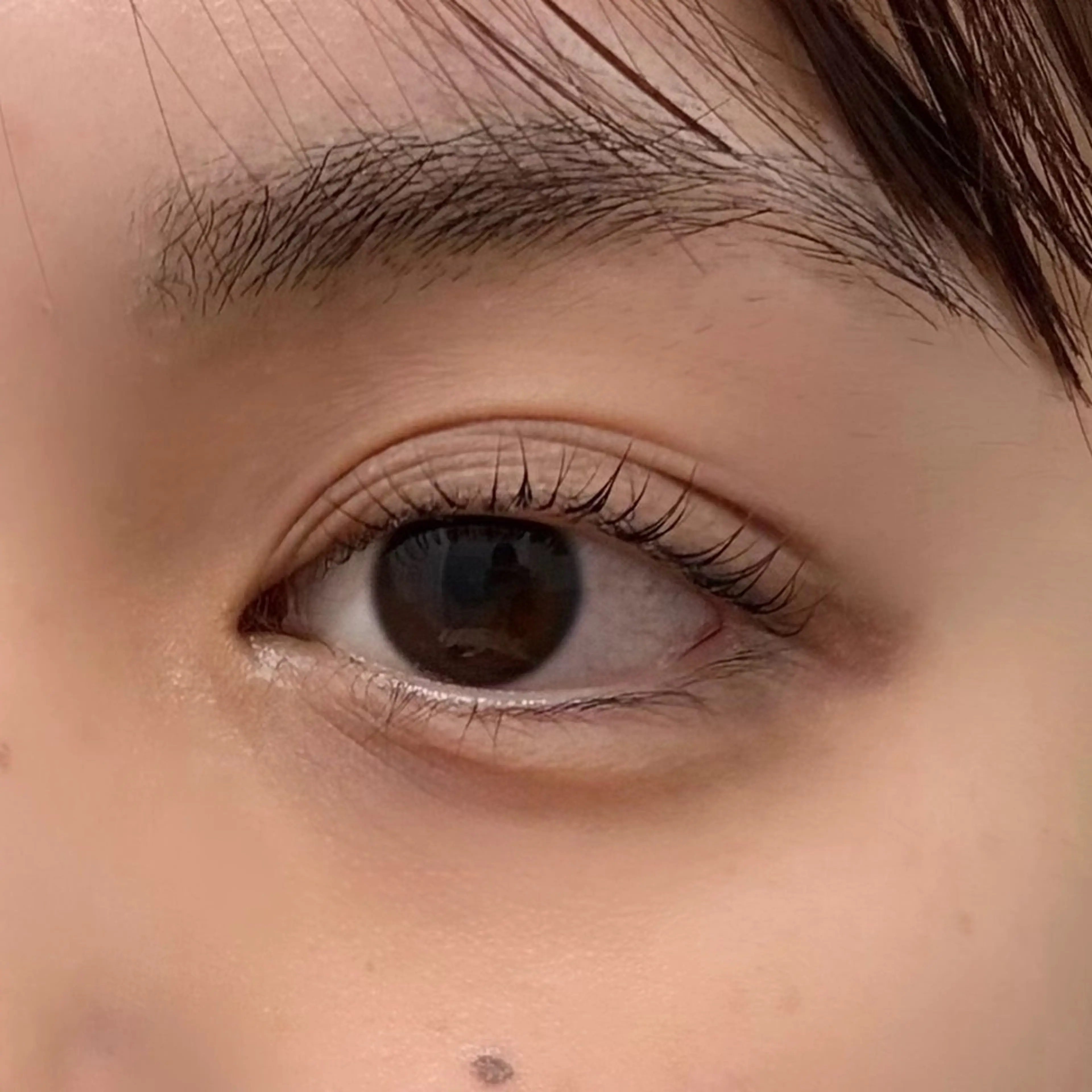 マツエク・マツパ Makea与野店 sae🧸のマツエク・マツパデザイン