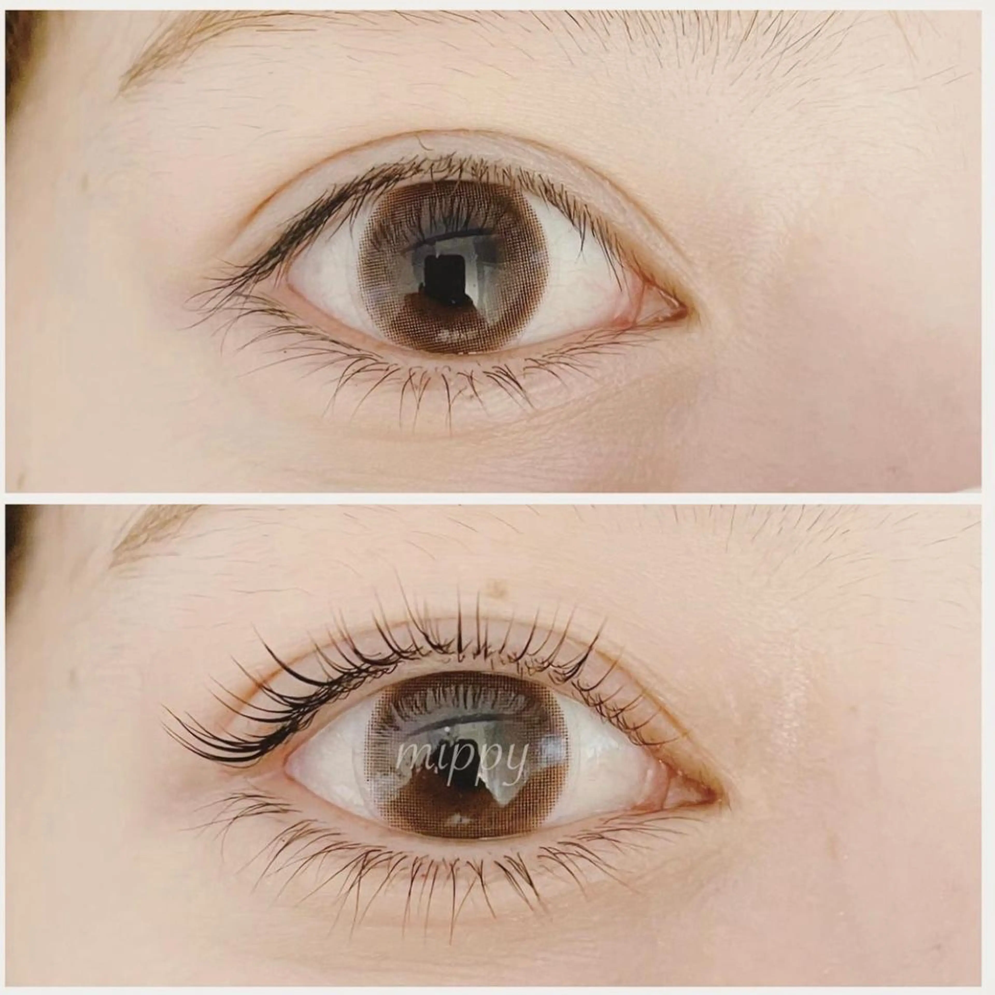 マツエク・マツパ パリジェンヌラッシュリフト ｍｉｐｐｙ 🪽のマツエク・マツパデザイン