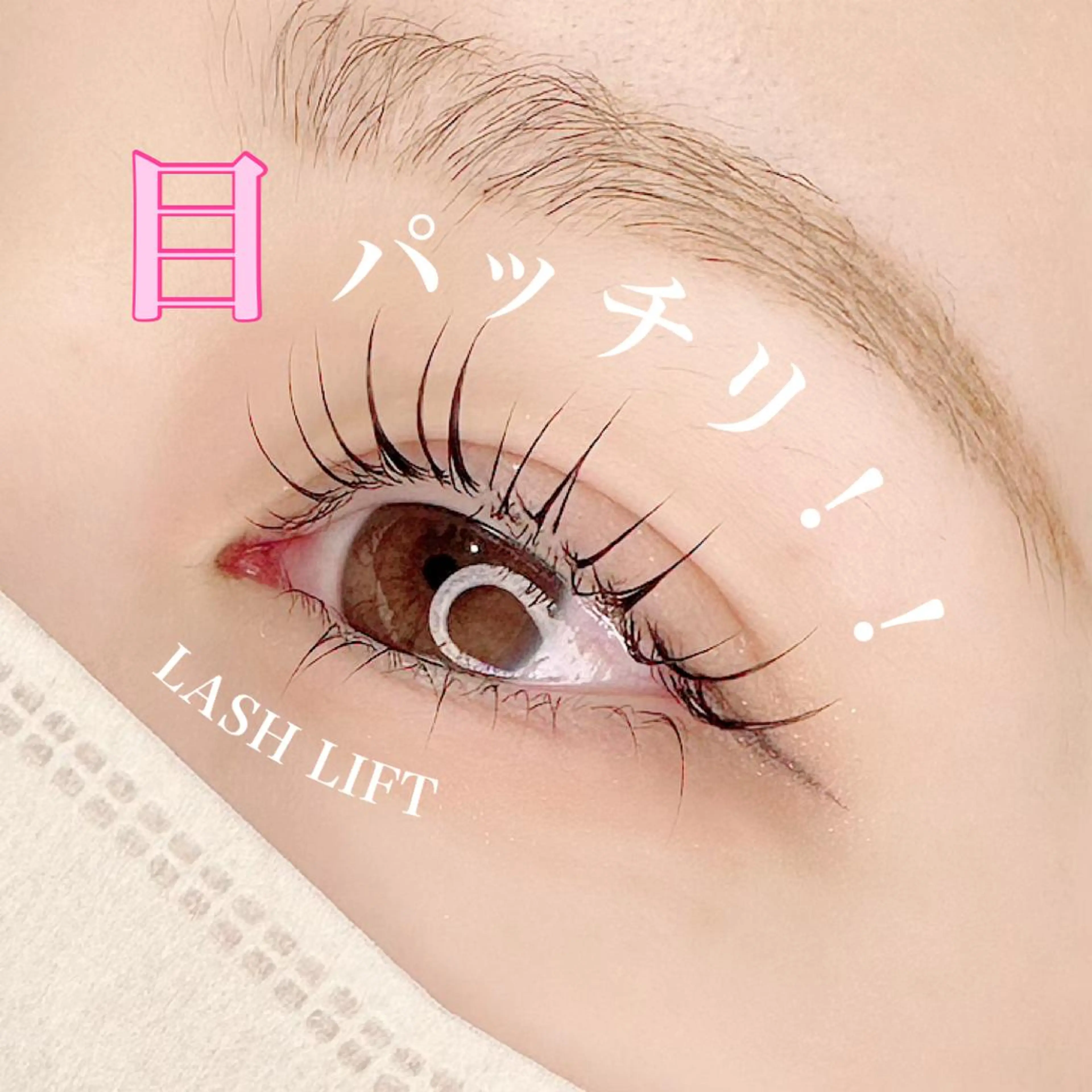 マツエク・マツパ アイブロウ マツパ 池袋駅韓国風🇰🇷 束感💗Tomoのマツエク・マツパデザイン