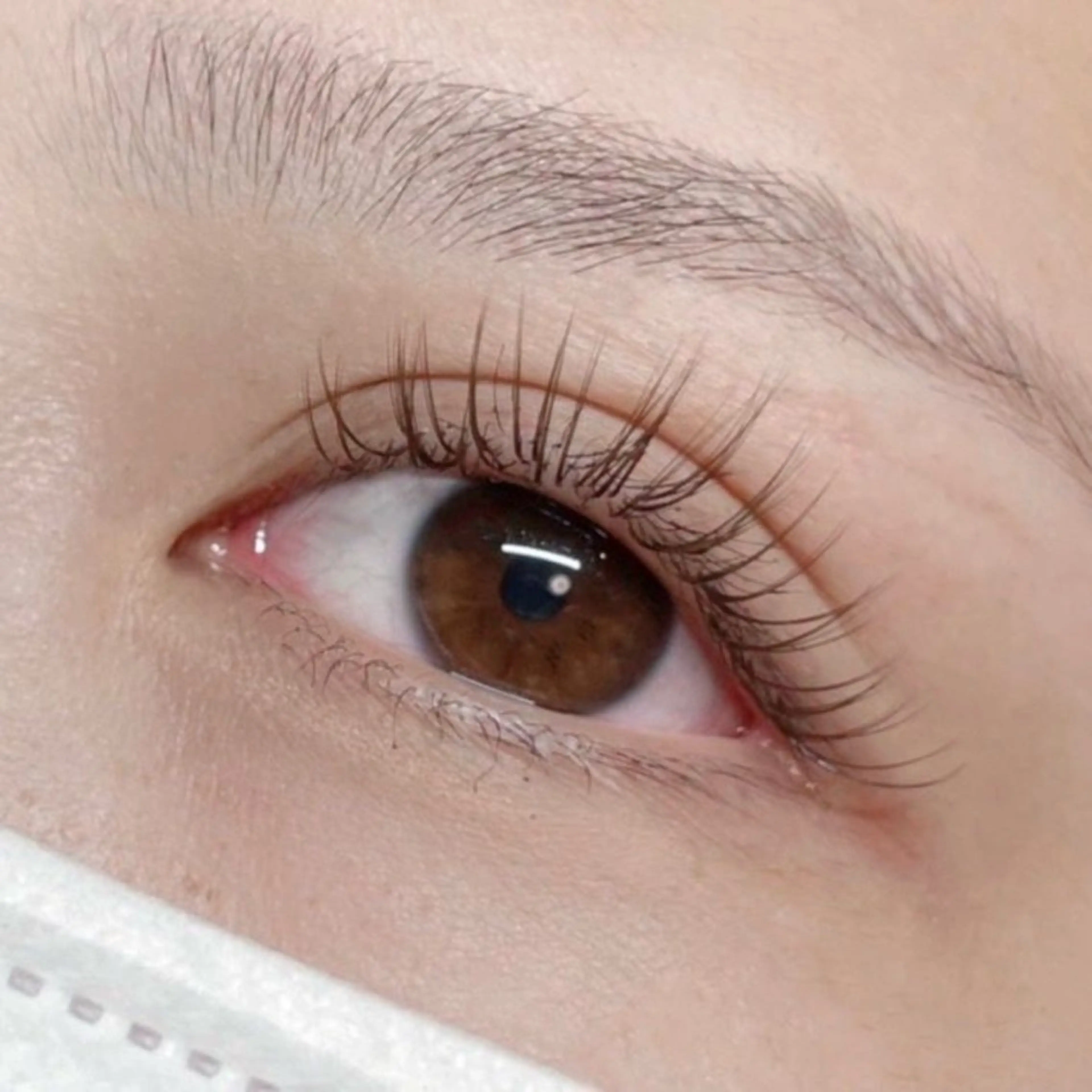 オフ込み抗菌セーブル100本 【¥3500】 フラットラッシュ(+¥500)変更可◎の写真