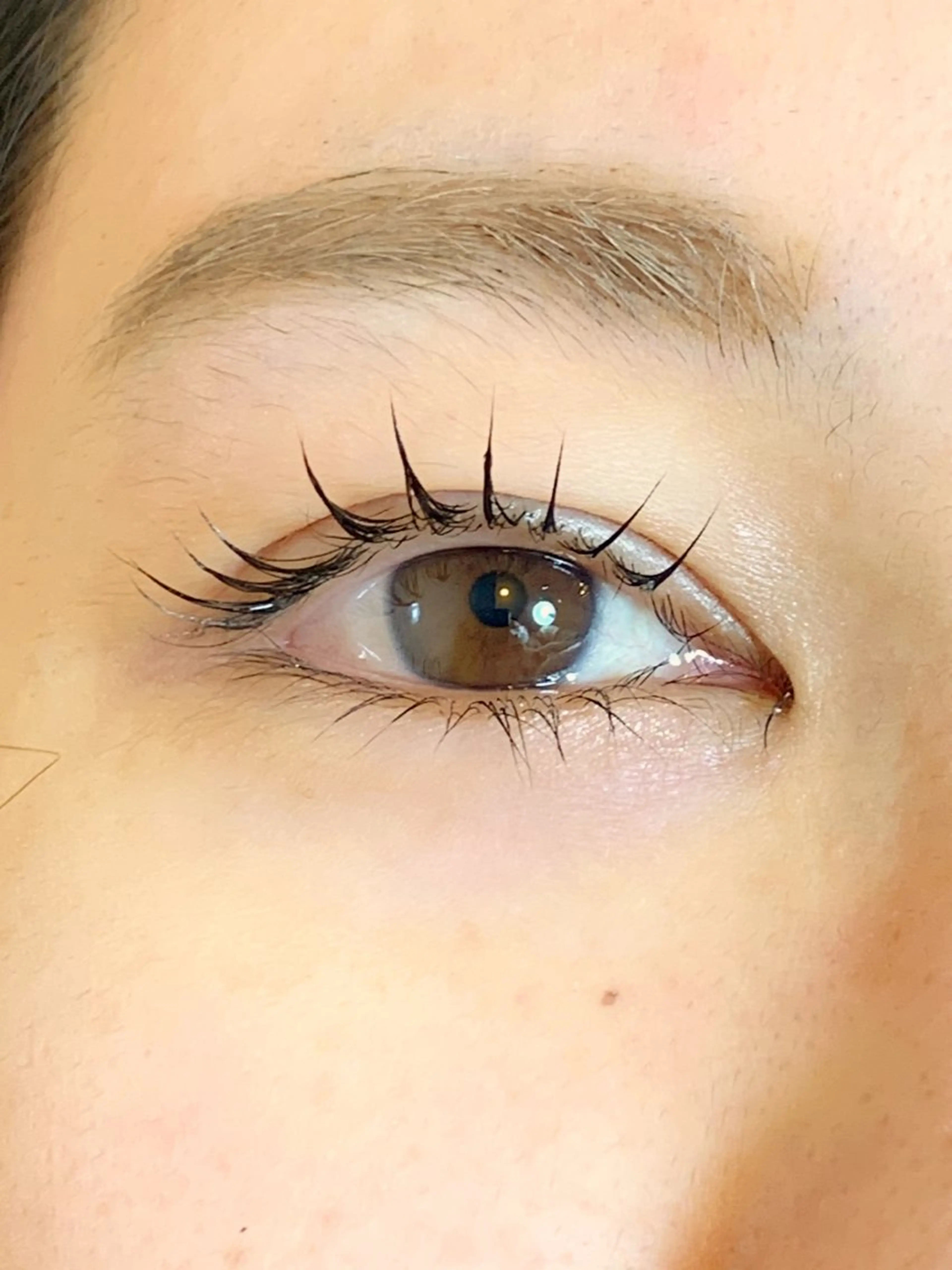 マツエク・マツパ まつげパーマ エクステ/眉/LED peTiT堀口のマツエク・マツパデザイン