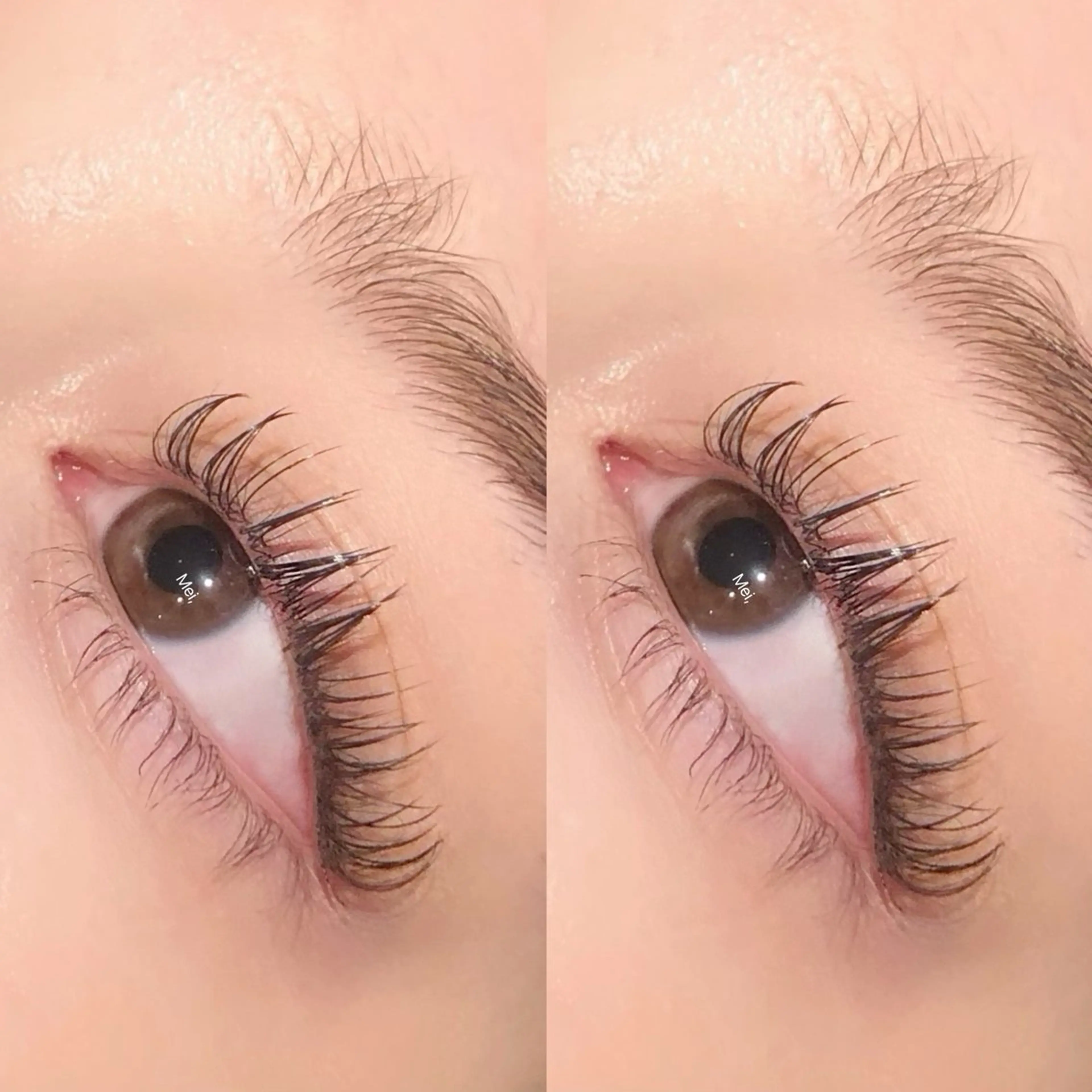 マツエク・マツパ フラットラッシュ ナチュラル EYELASH&NAIL   AnK所属・AnK Meiのマツエク・マツパデザイン