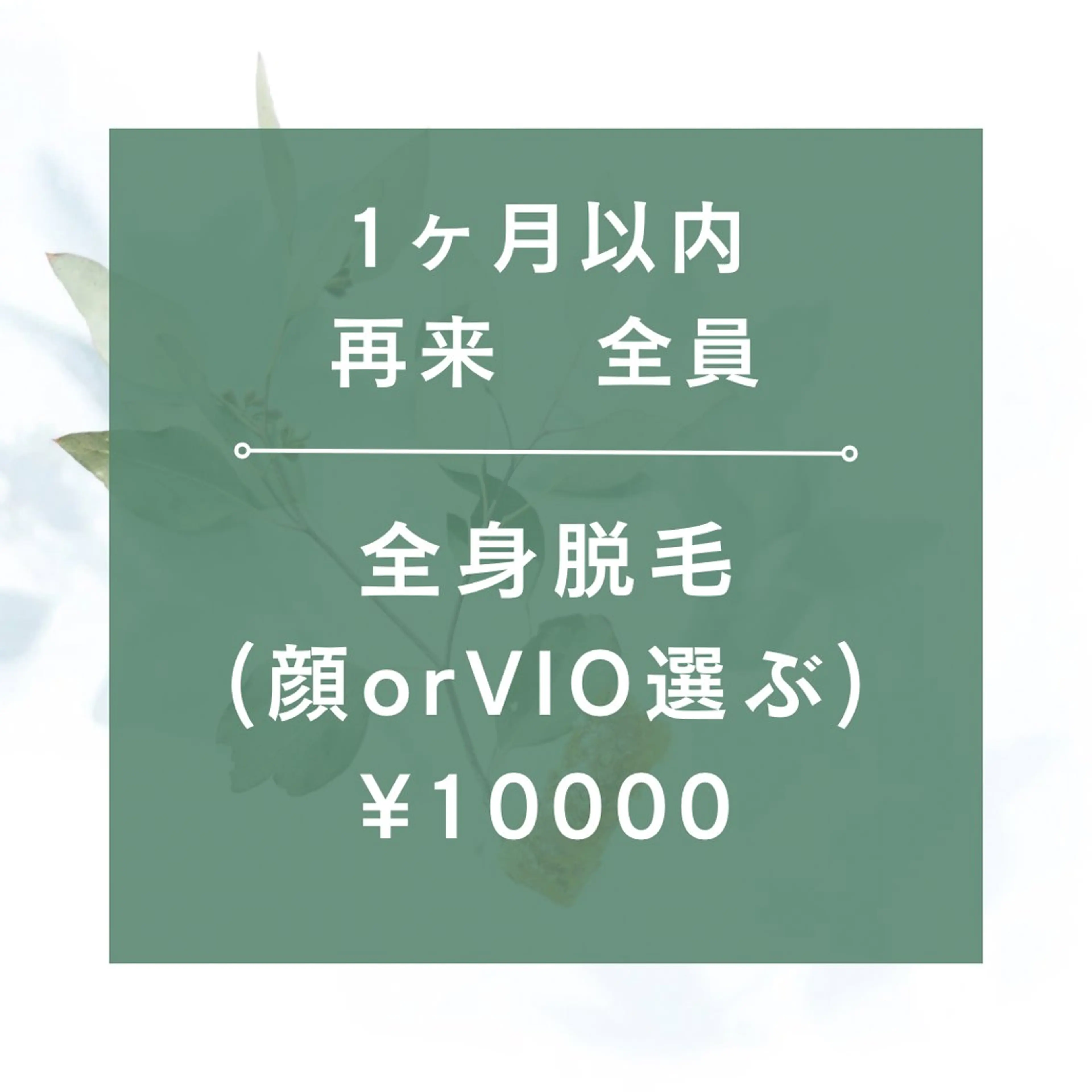 【男女OK】1ヶ月以内の方限定★☆全身脱毛(全顔orVIO)/¥10000☆★75分の写真