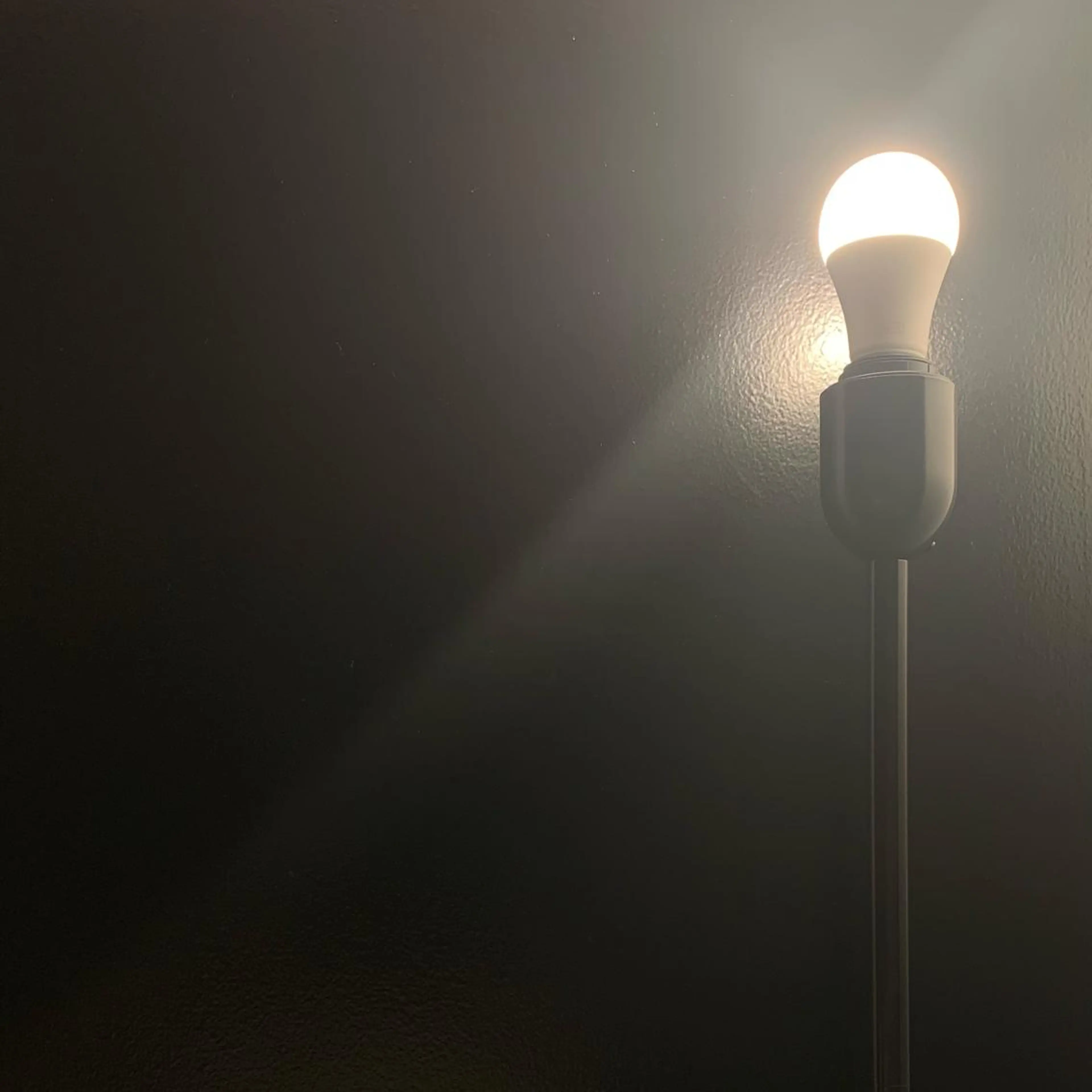 アイブロウ ワックス脱毛 全身脱毛&ブラジリアンワックスサロン rudi 【ルディ】阿波座店所属・【脱毛/眉毛専門店】 rudi　阿波座店の眉毛・アイブロウイメージ