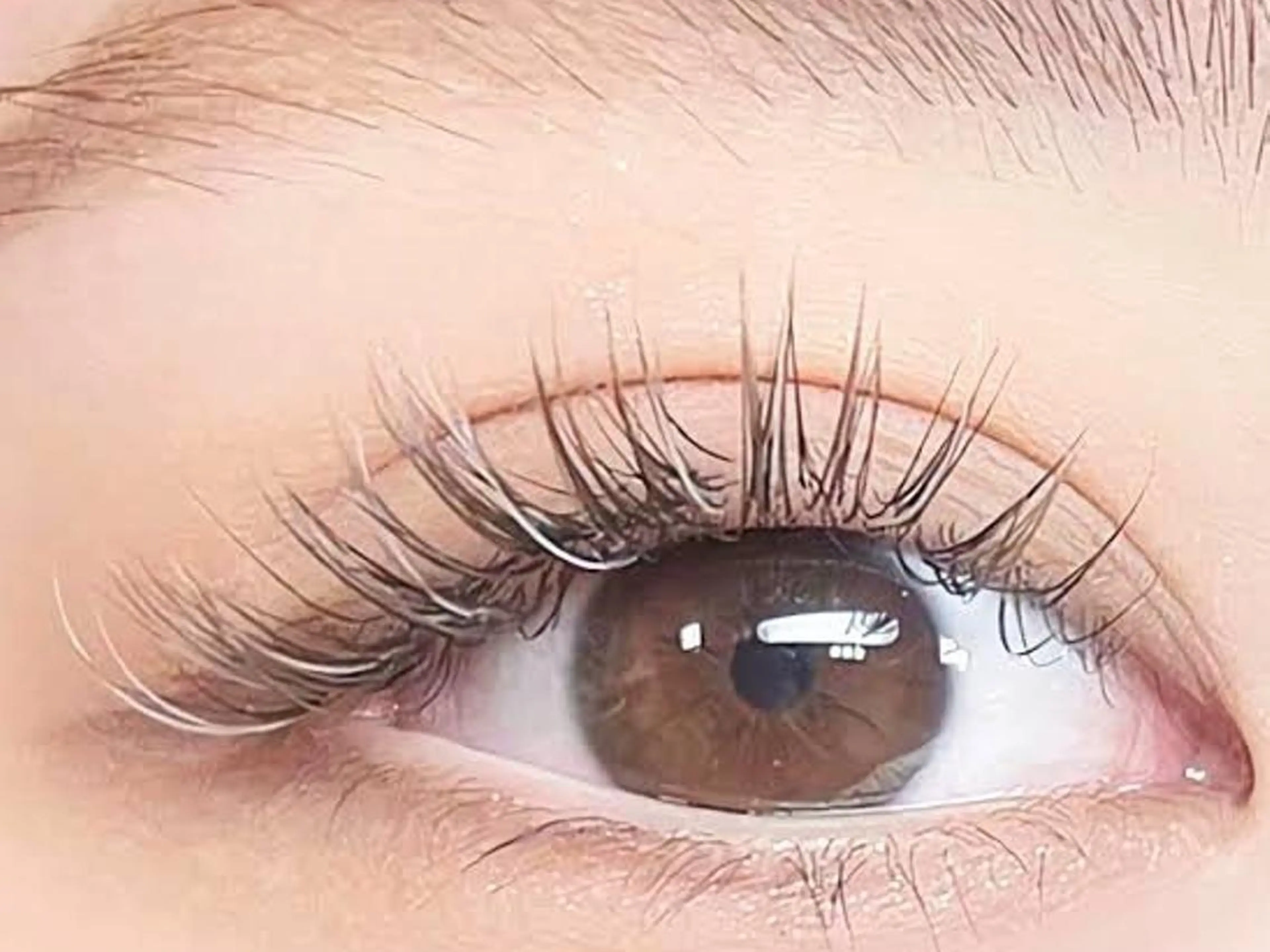 マツエク・マツパ アイブロウ やまとなでしこ💜 AYAのマツエク・マツパデザイン