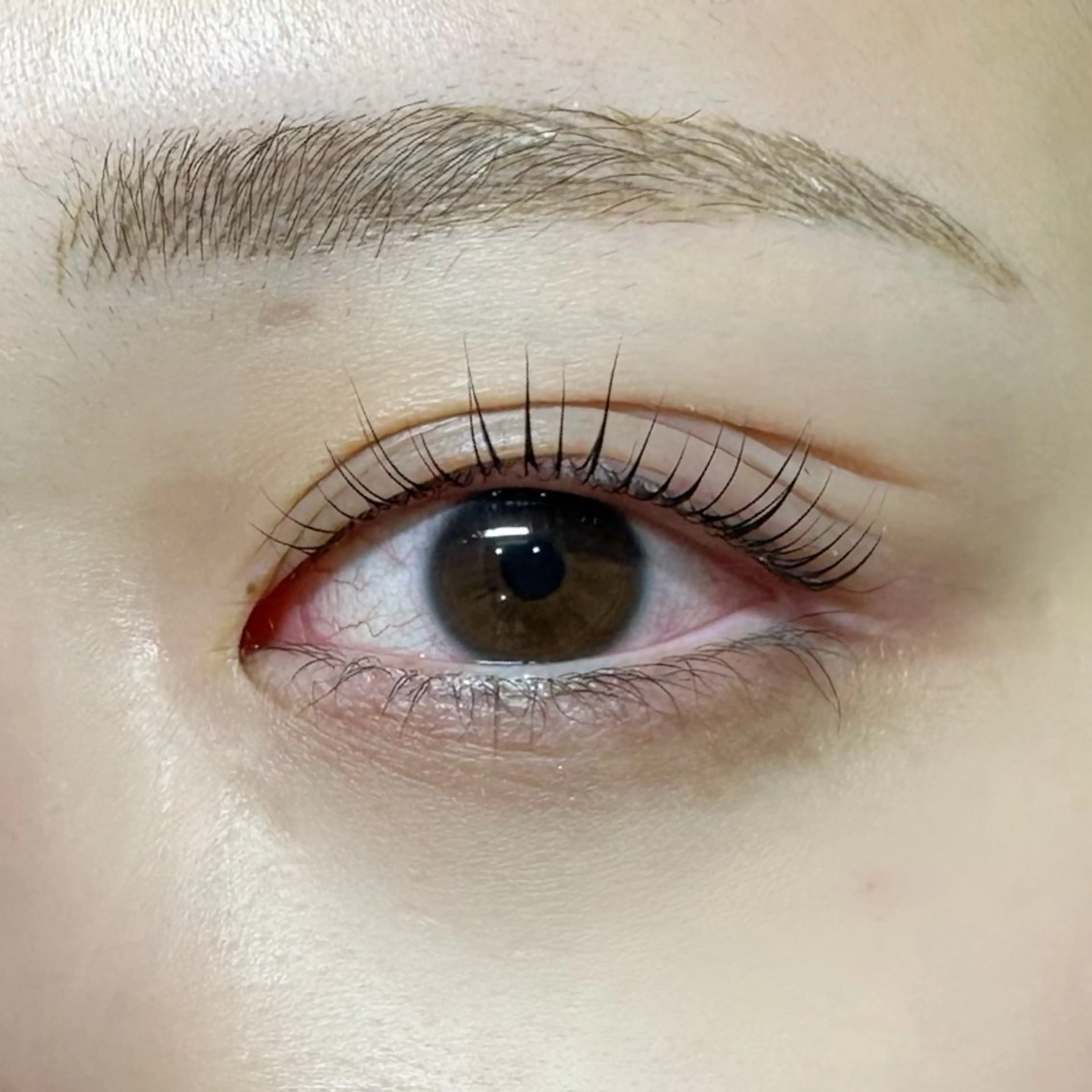 マツエク・マツパ マツパ NOA 名駅 まつげ SENA‪🎀のマツエク・マツパデザイン