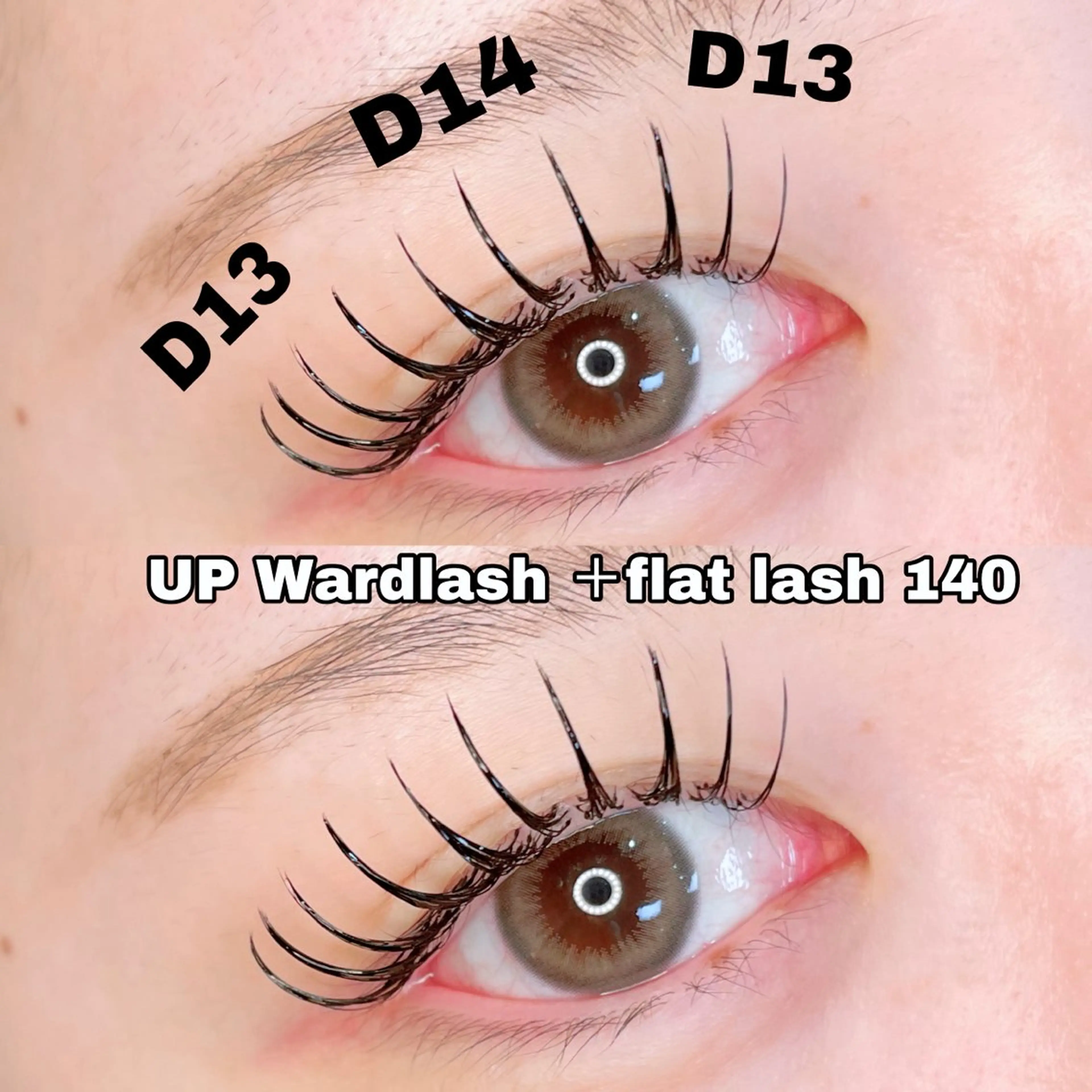 【エクステ予約No.3💚】アップワード＋フラットラッシュ140本［オフ／カラー／再来様 各500円］の写真