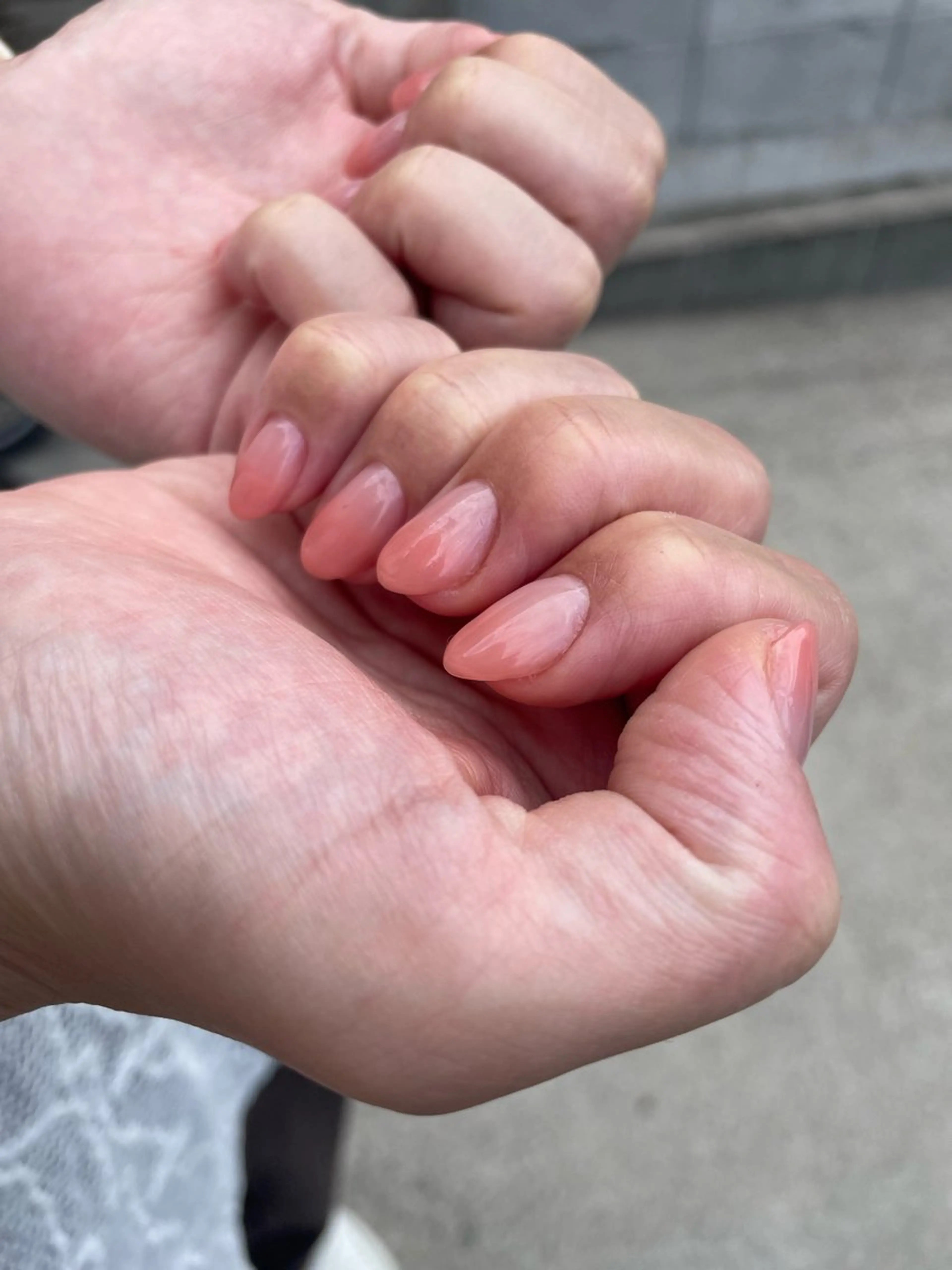 グラデーションの写真