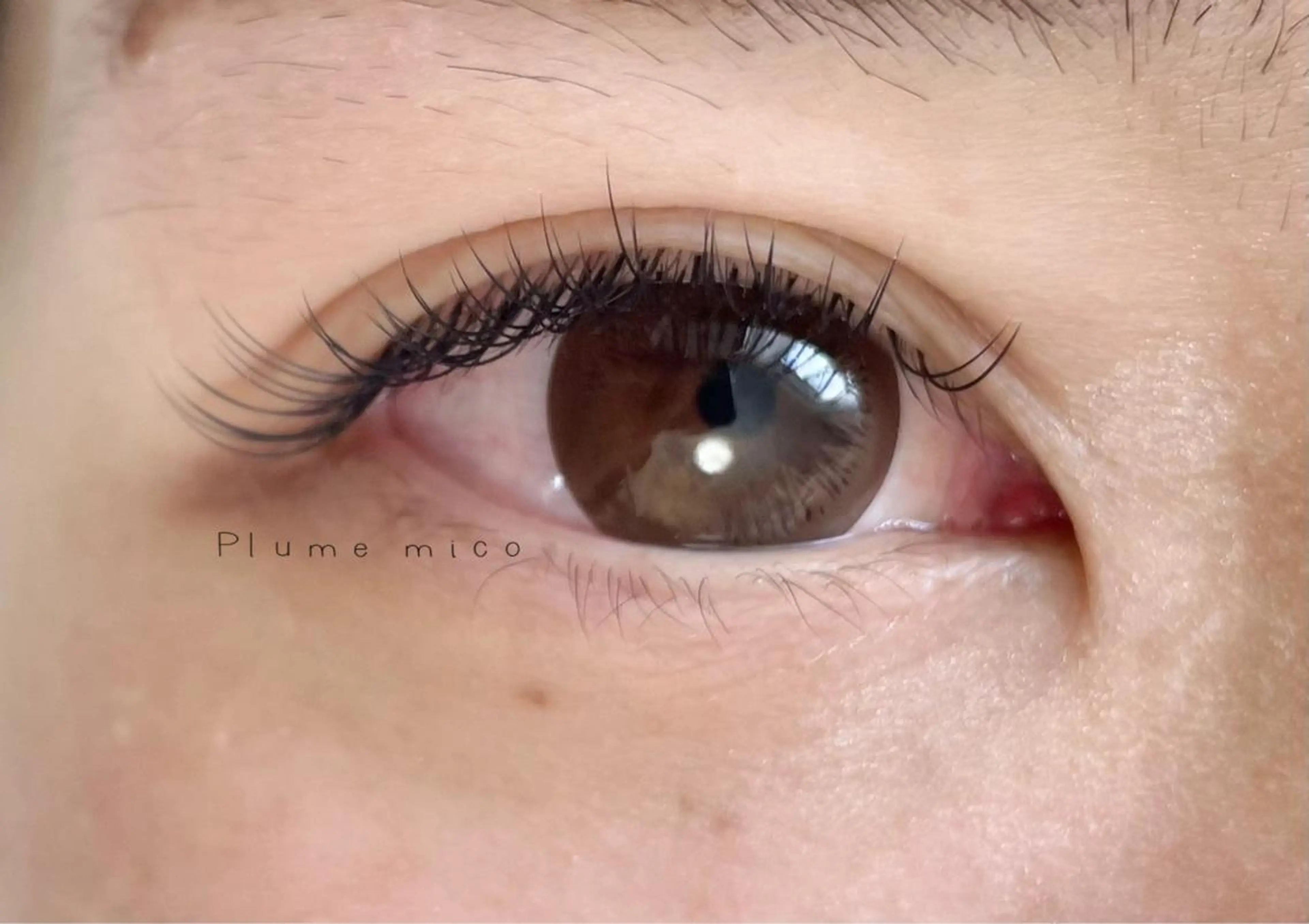 マツエク・マツパ マツエク Plume micoのマツエク・マツパデザイン