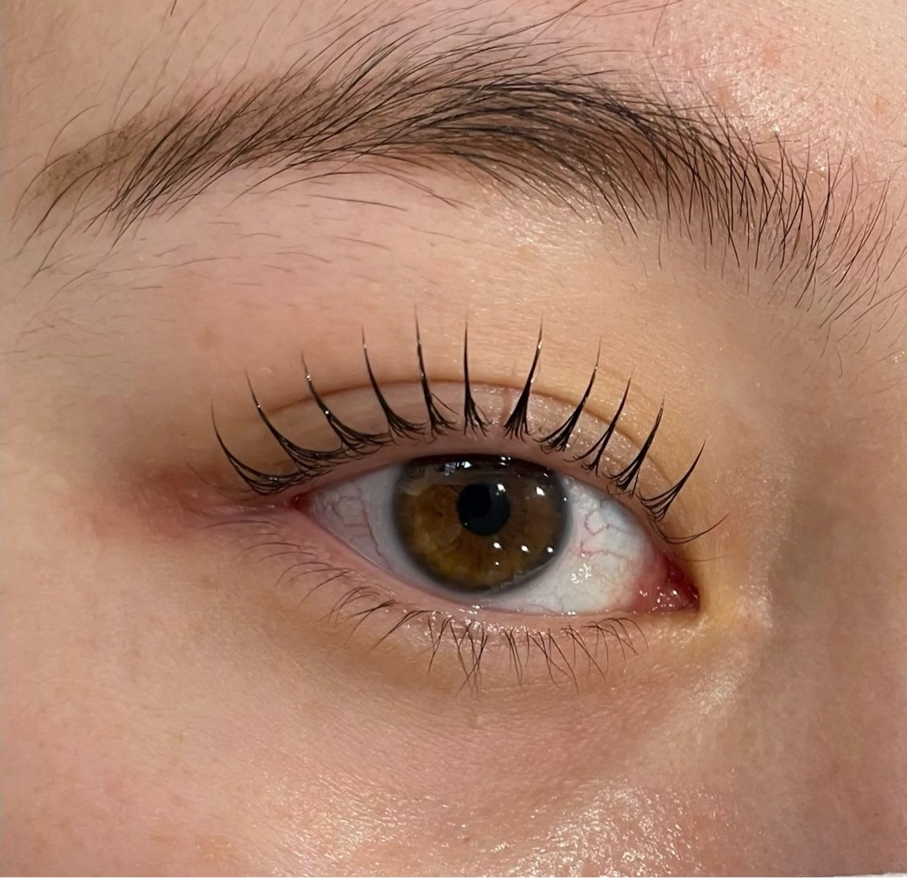 日曜限定メニュー🍓(トリートメント付き)パリジェンヌラッシュリフトパーマモデルの写真