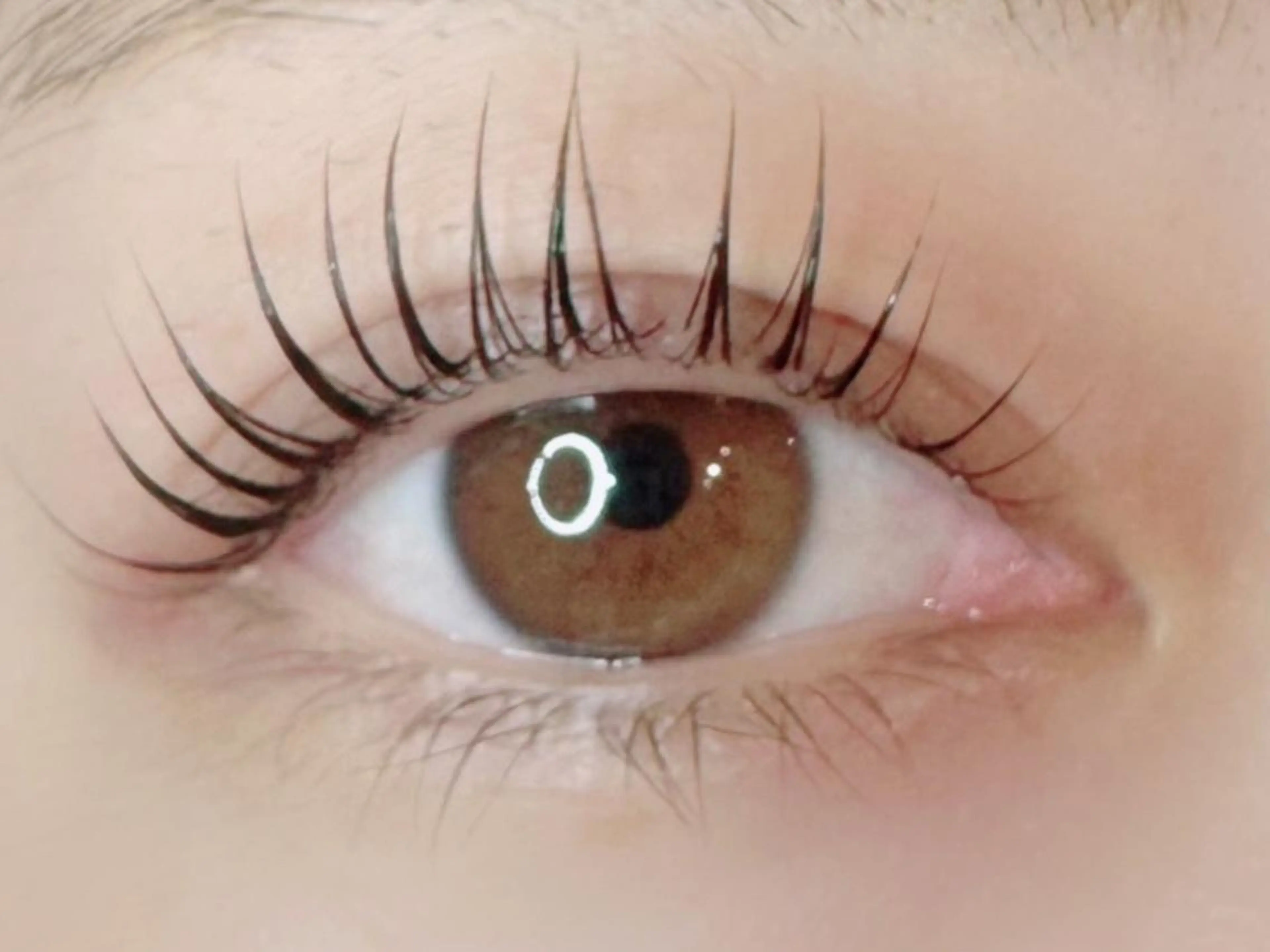 マツエク・マツパ Mian 津田沼のマツエク・マツパデザイン