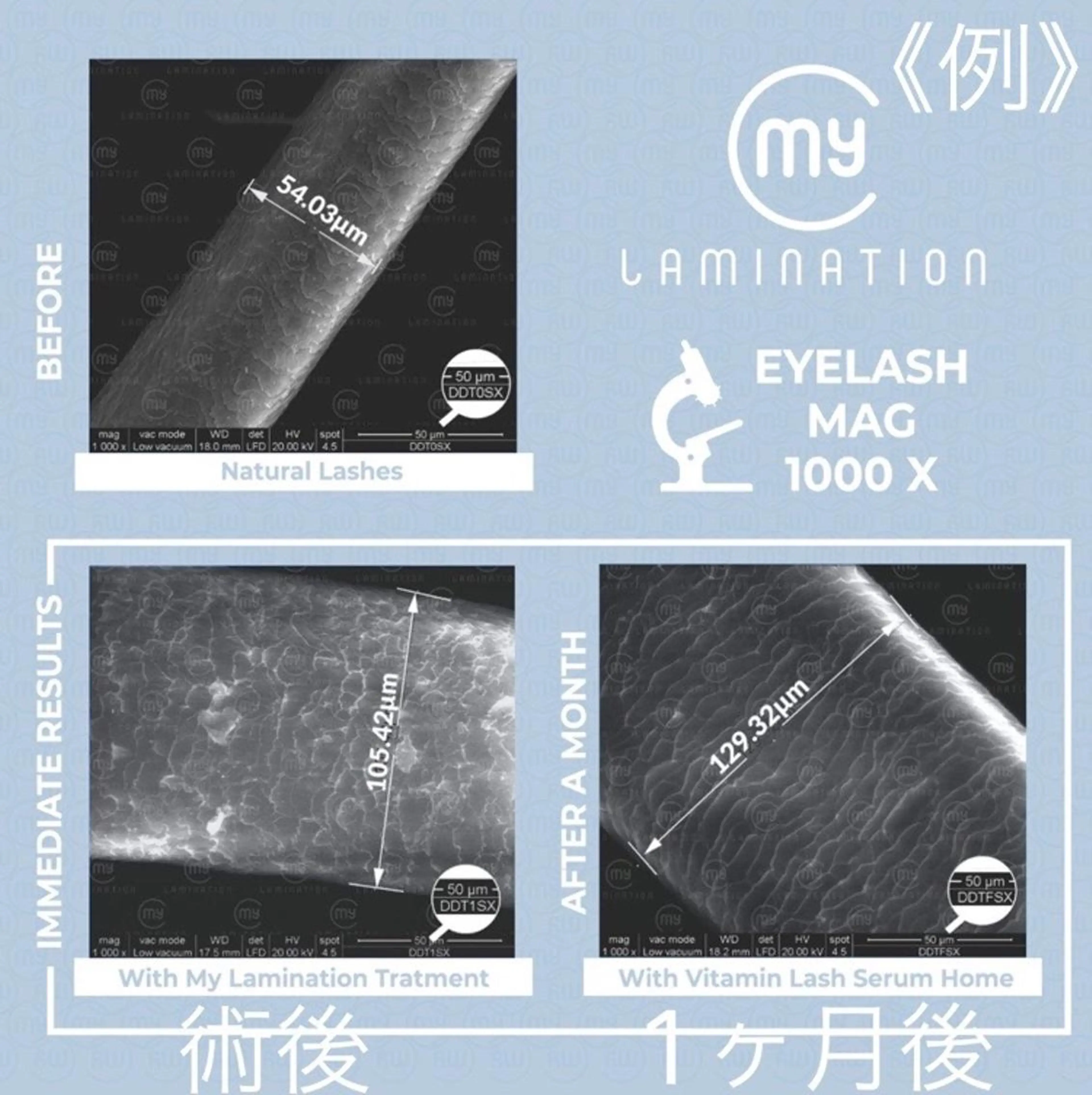 マツエク・マツパ ケラチンラッシュリフト シルク share salon elle所属・Maeda 🌸のマツエク・マツパデザイン