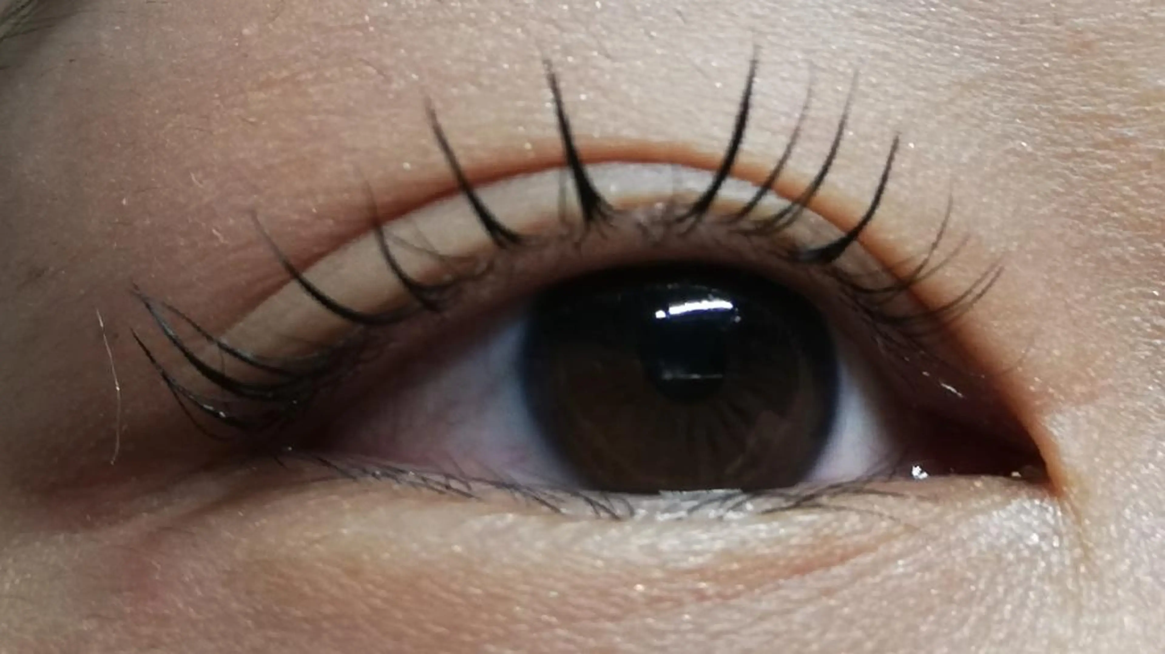 マツエク・マツパ angelux 所属・完全個室サロン🌹 angelux🌹のマツエク・マツパデザイン