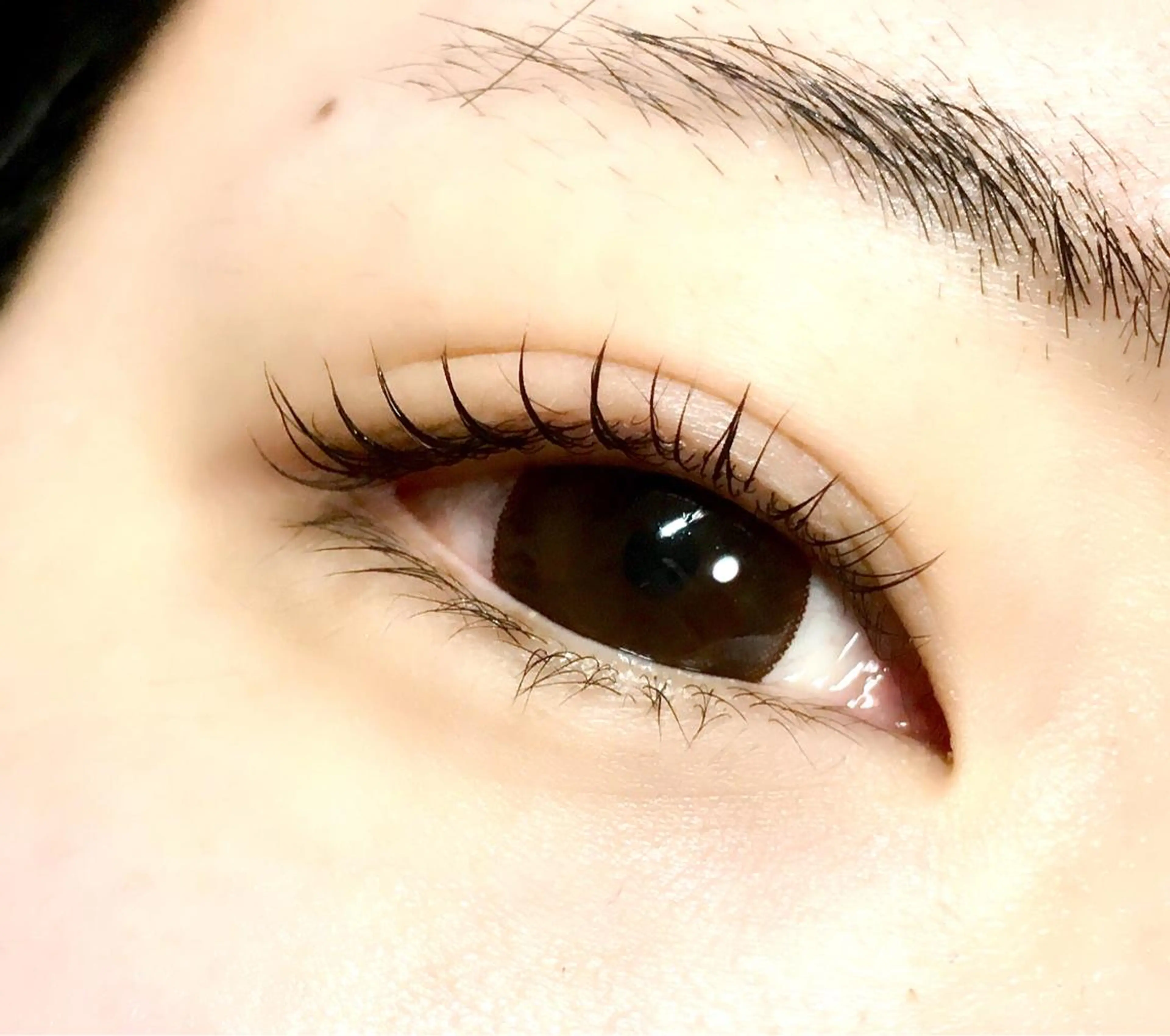 マツエク・マツパ まつげと眉毛の専門店 MeriSPAのマツエク・マツパデザイン