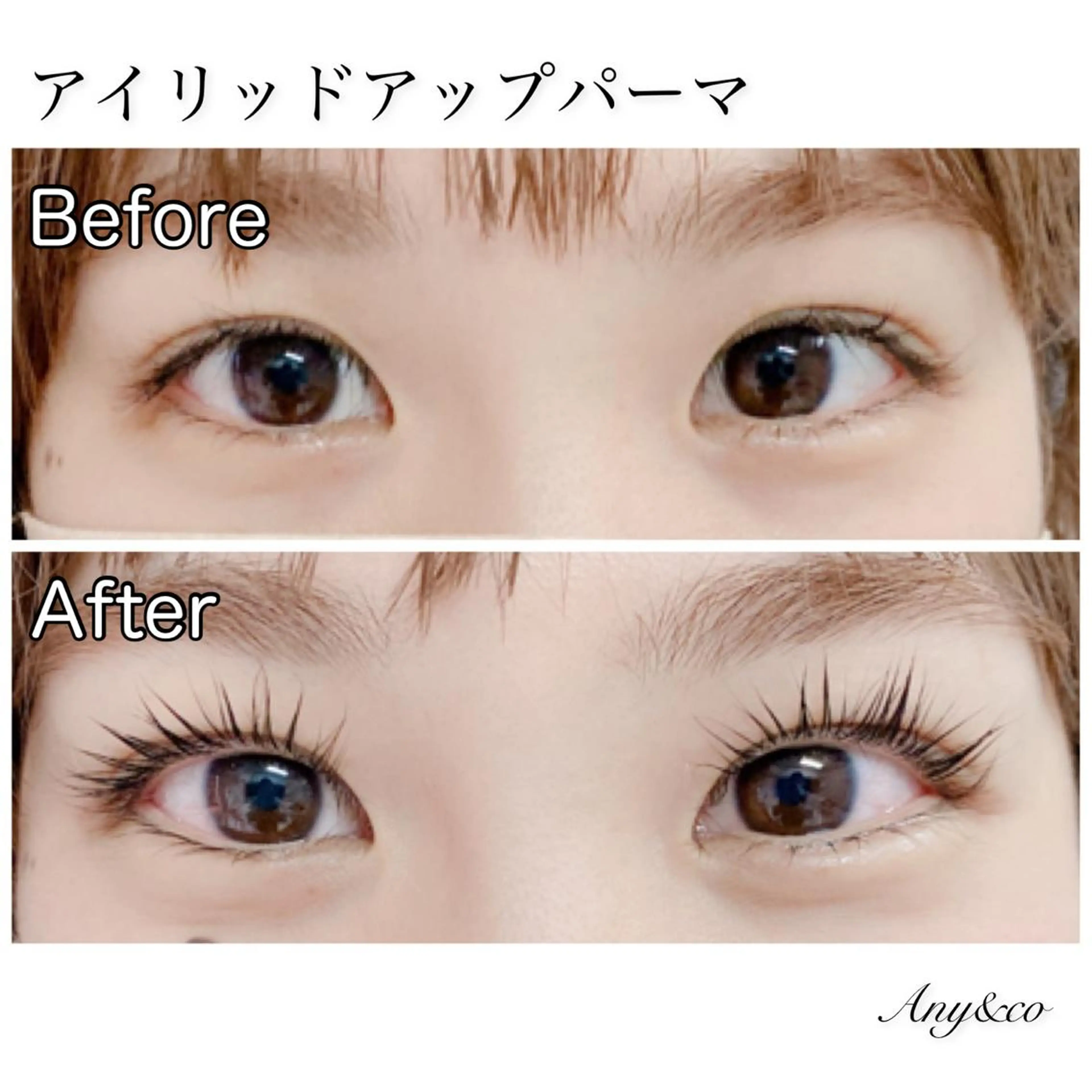 マツエク・マツパ アイリッドアップパーマ Any&co 【エニコ】のマツエク・マツパデザイン
