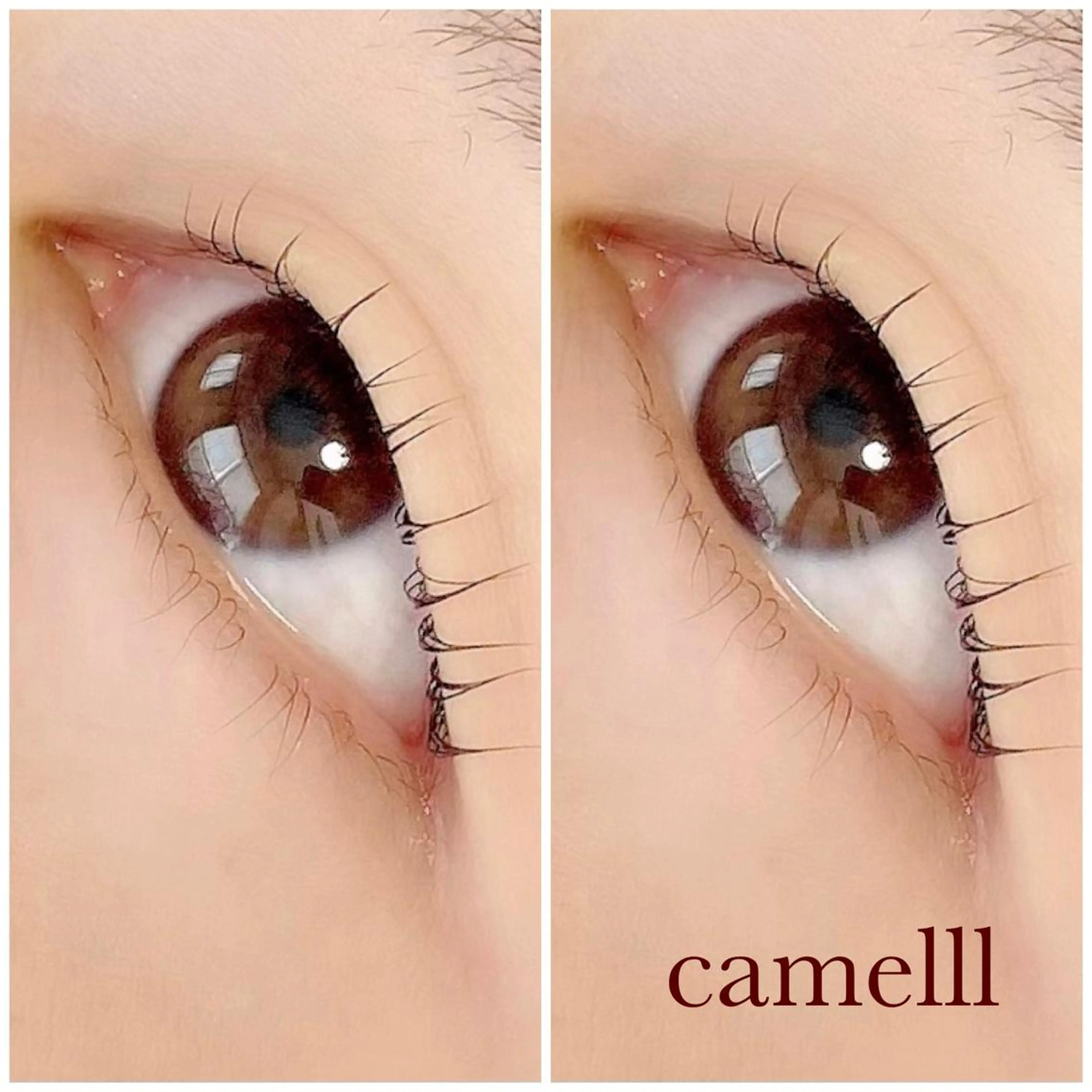 マツエク・マツパ 【那覇/束感まつ毛】 ｷｬﾒﾙのマツエク・マツパデザイン