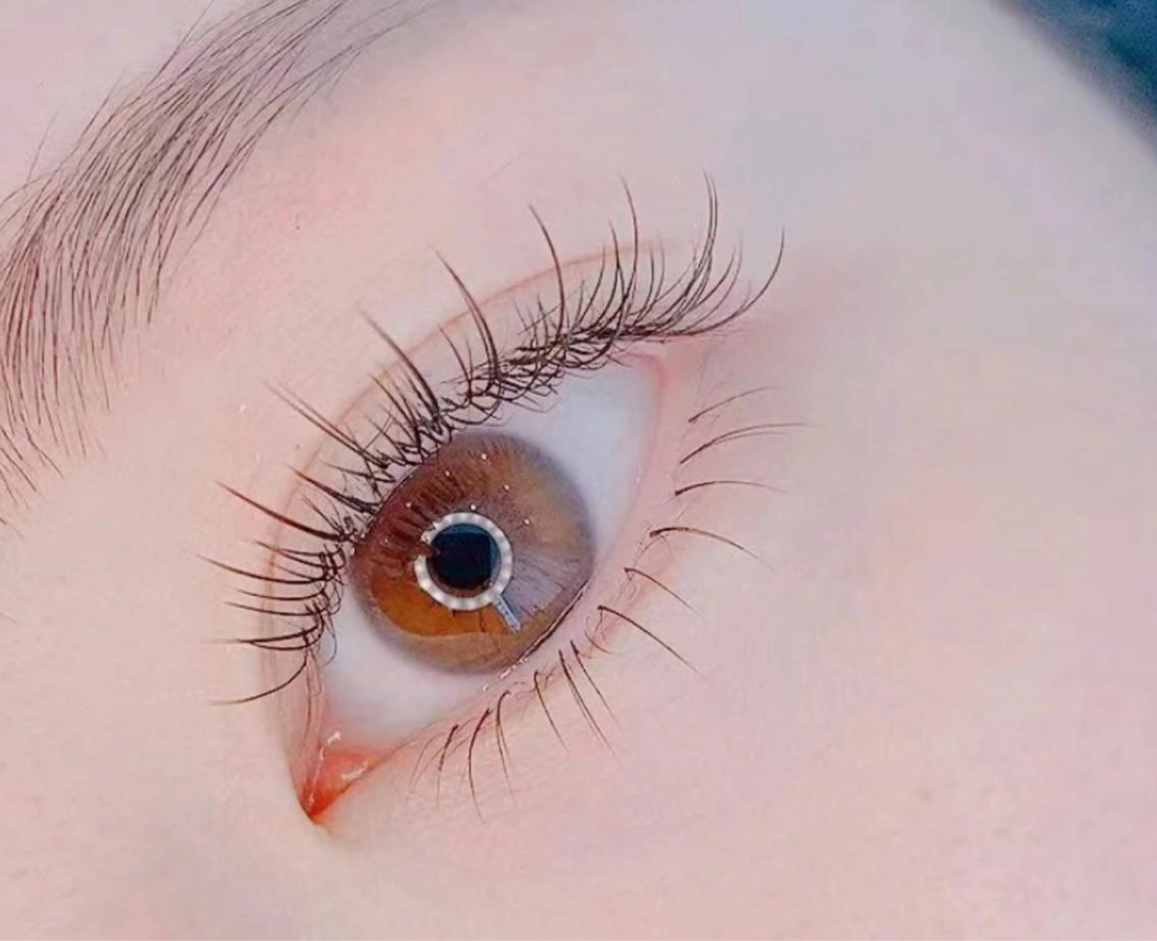 マツエク・マツパ マツエク An beauty2のマツエク・マツパデザイン