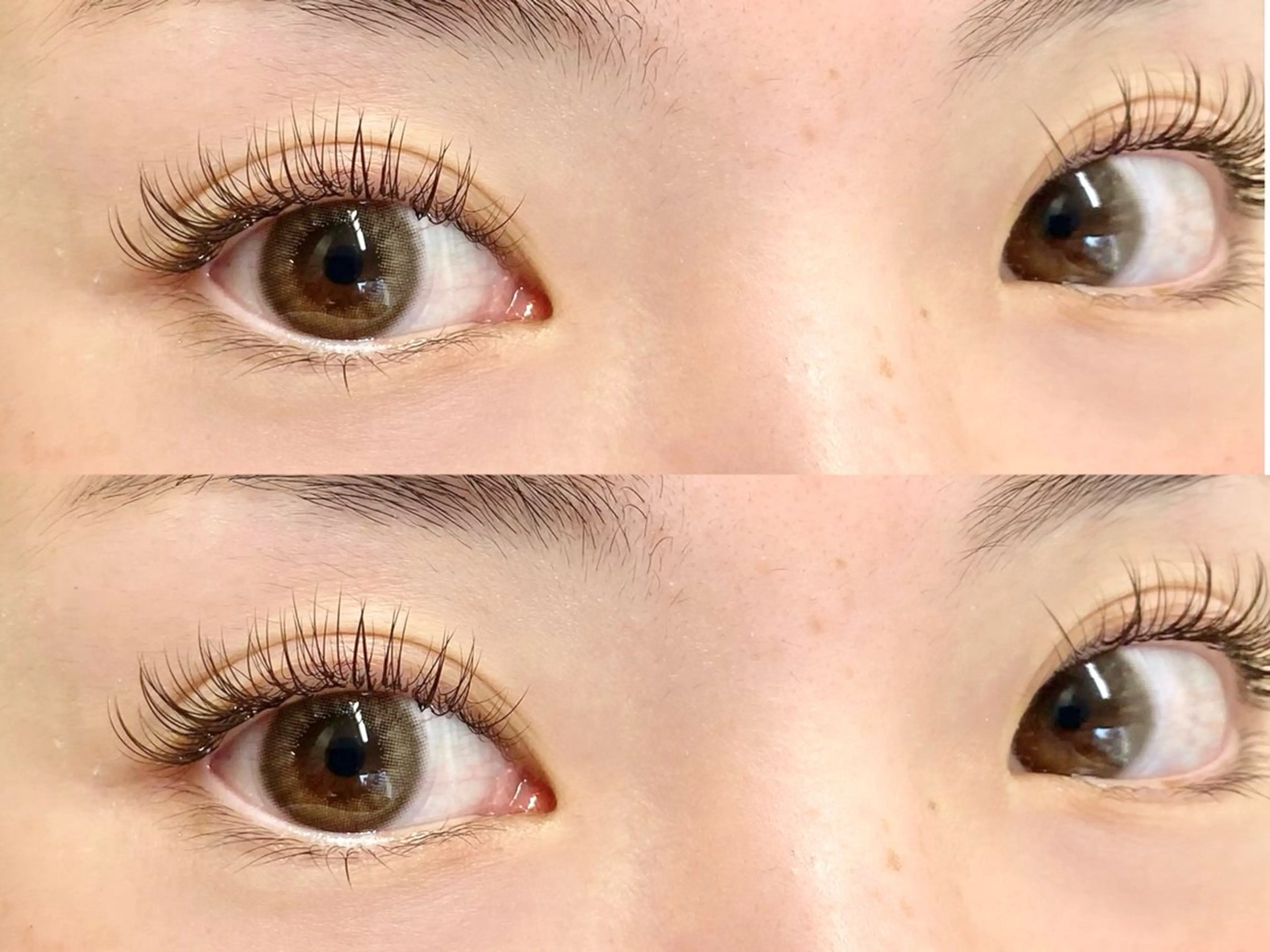 マツエク・マツパ Juicyeye  志木店所属・Juicyeye SHION.Tの眉毛・アイブロウイメージ