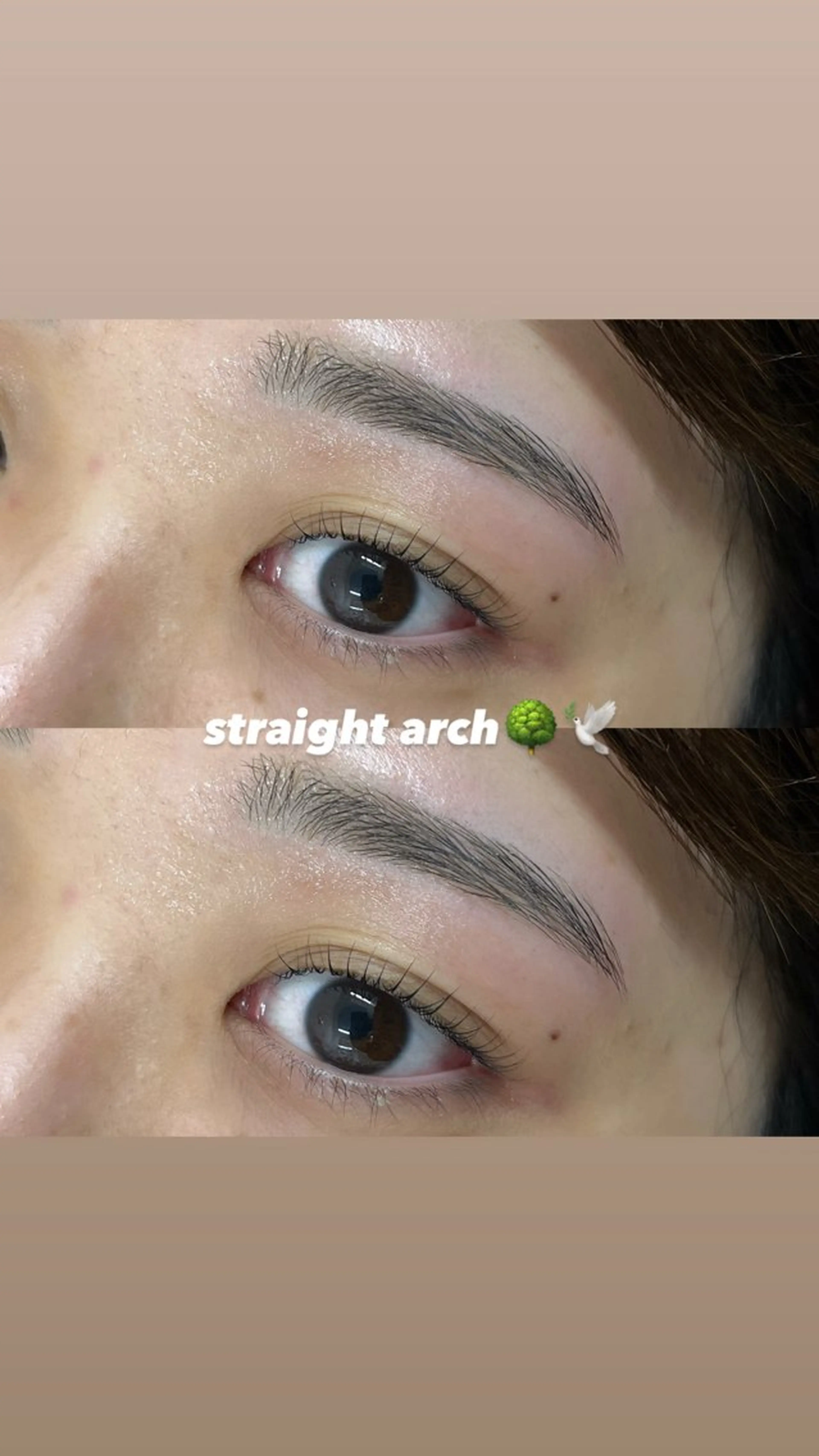 💖🌺レディースアイブロウwax脱毛🌺💖の写真