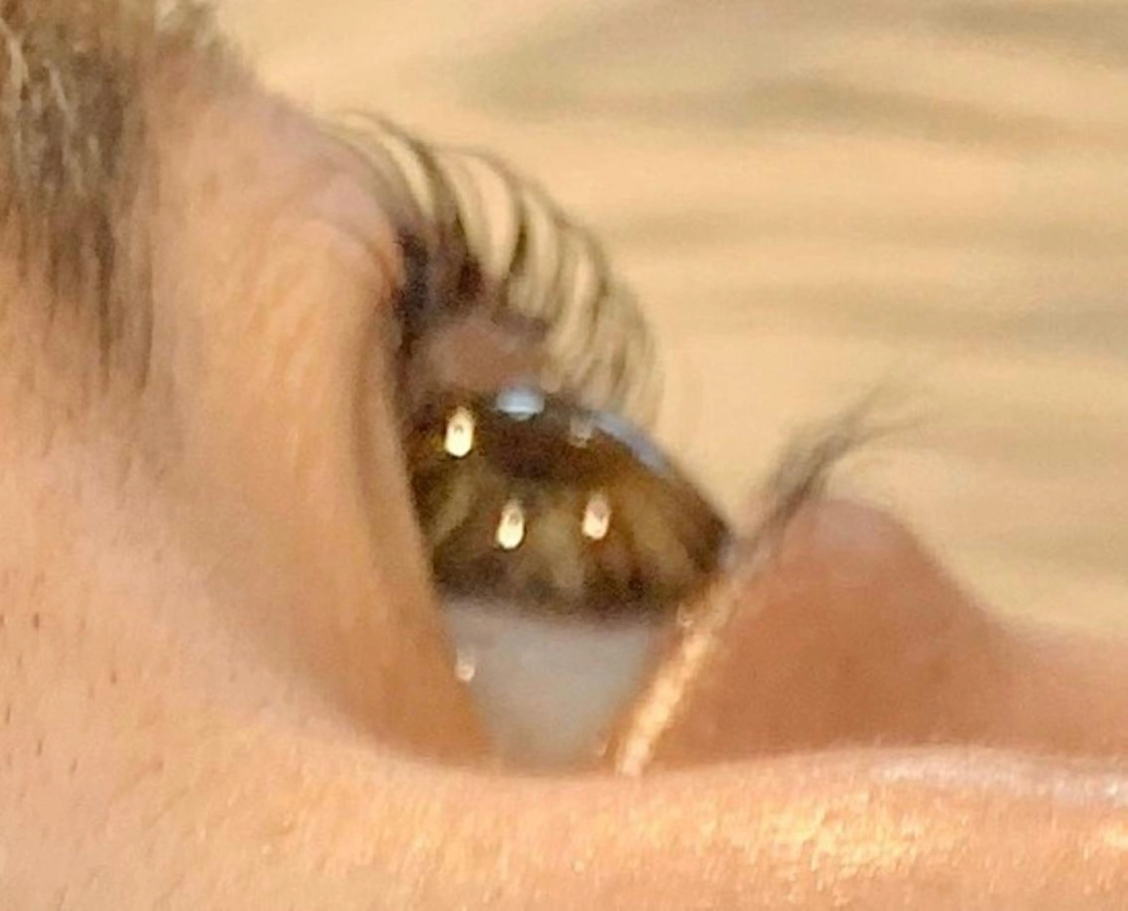 マツエク・マツパ マツパ 土屋 智子のエステ・リラクイメージ