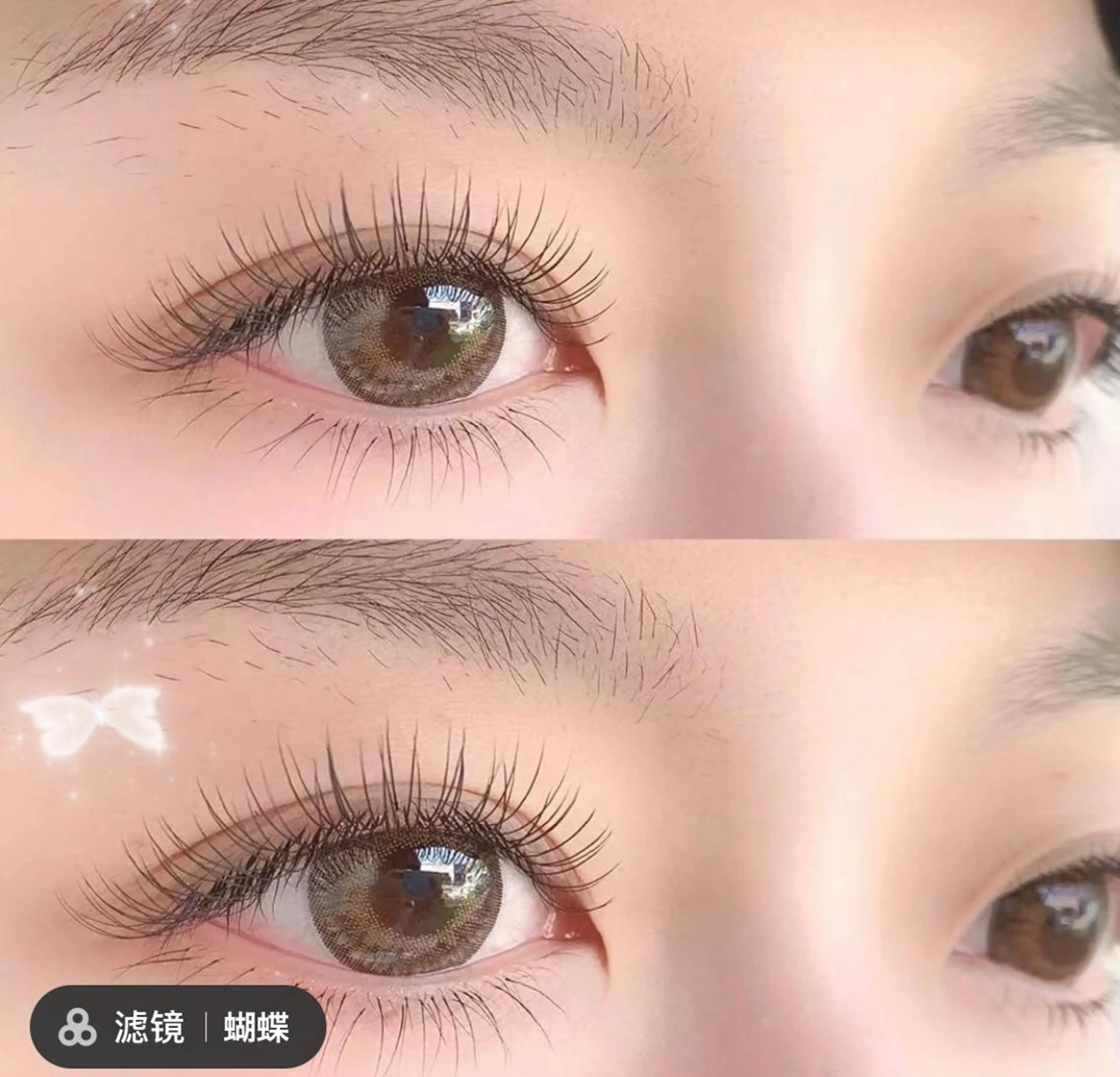 マツエク・マツパ マツエク Angela エステサロンのマツエク・マツパデザイン