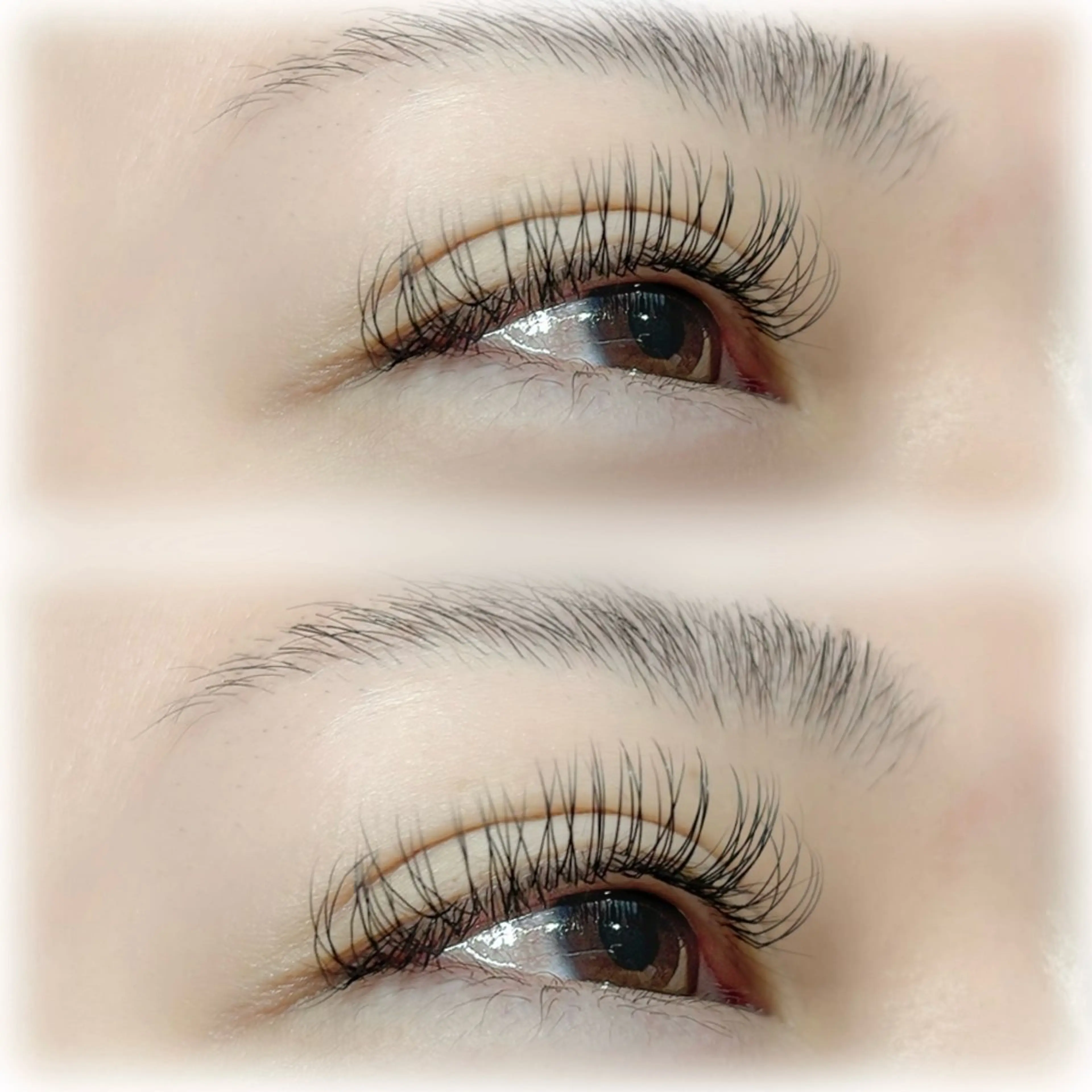 マツエク・マツパ Dカール フラットラッシュ マツエク ビューティーサロンfeather所属・feather MISAKIのマツエク・マツパデザイン