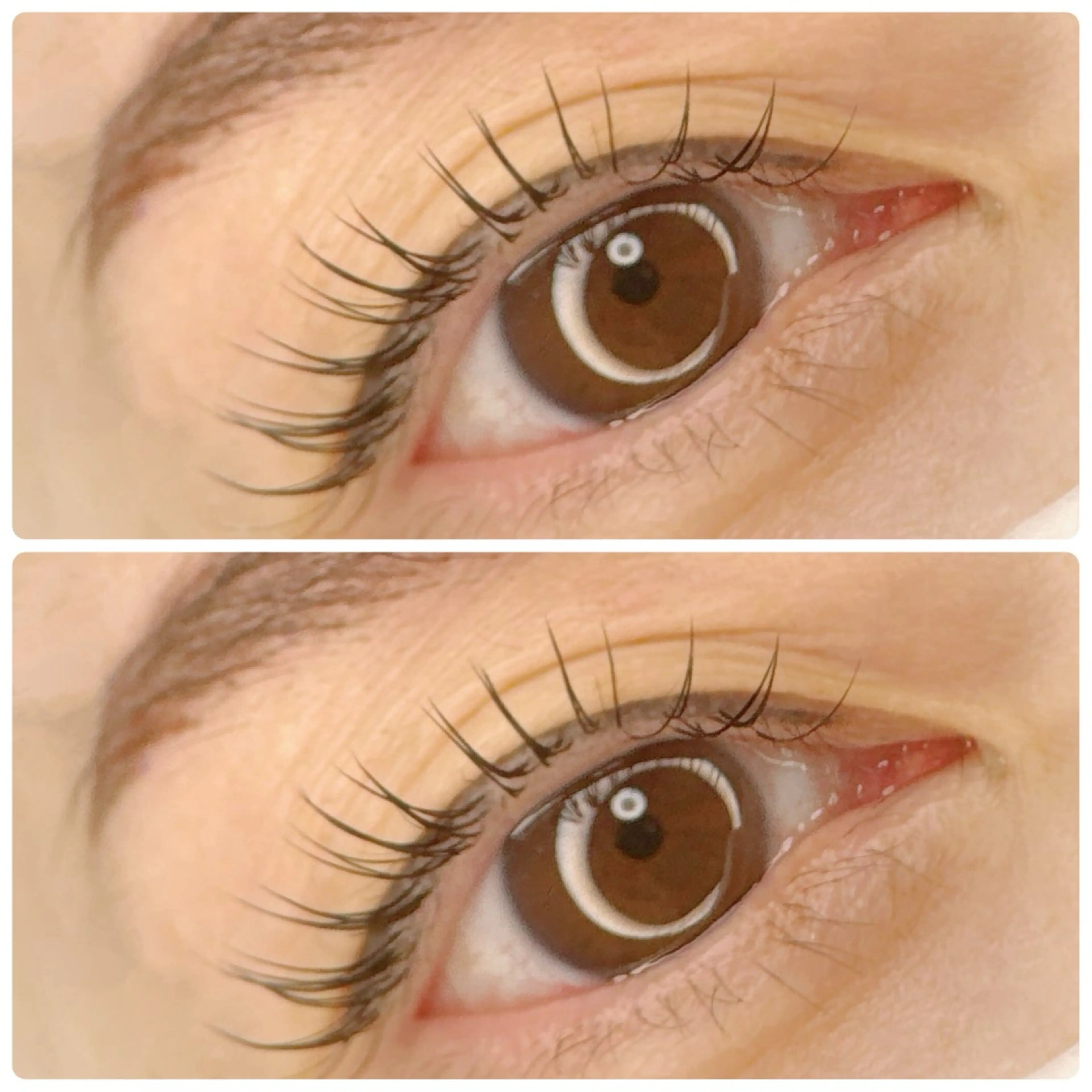 マツエク・マツパ フラットラッシュ favori 江坂のマツエク・マツパデザイン